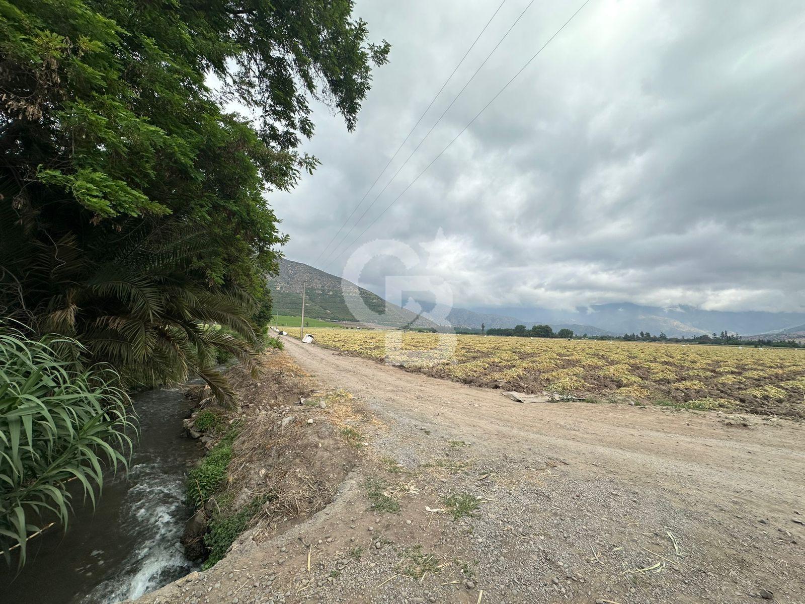 Catemu, Chile, ,Residential,For Sale,1991169