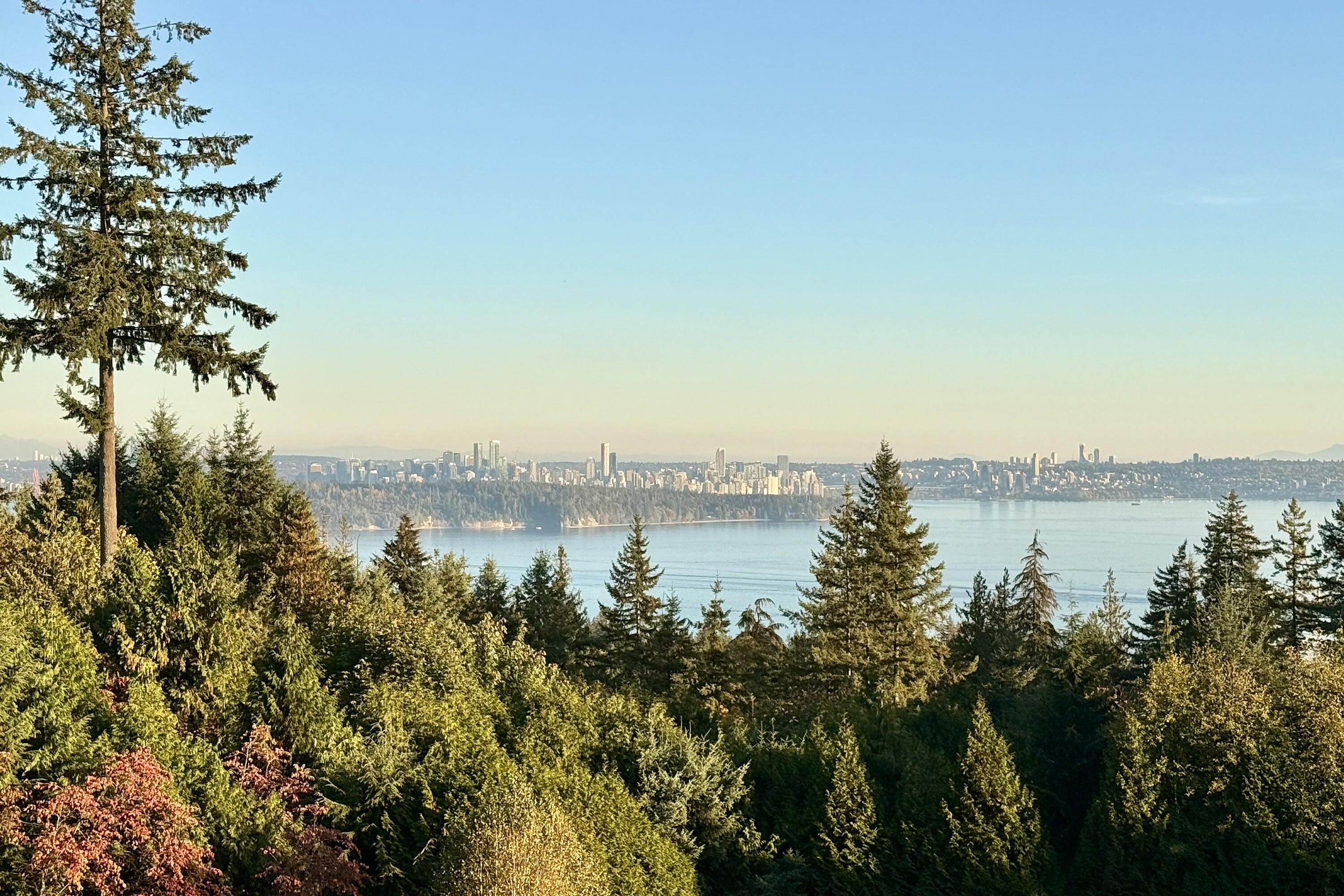  Beautiful Deer Ridge - 物件實景