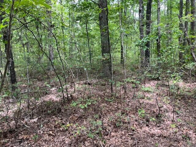 Graysville, Tennessee, 37338, United States, ,Residential,For Sale,1943907