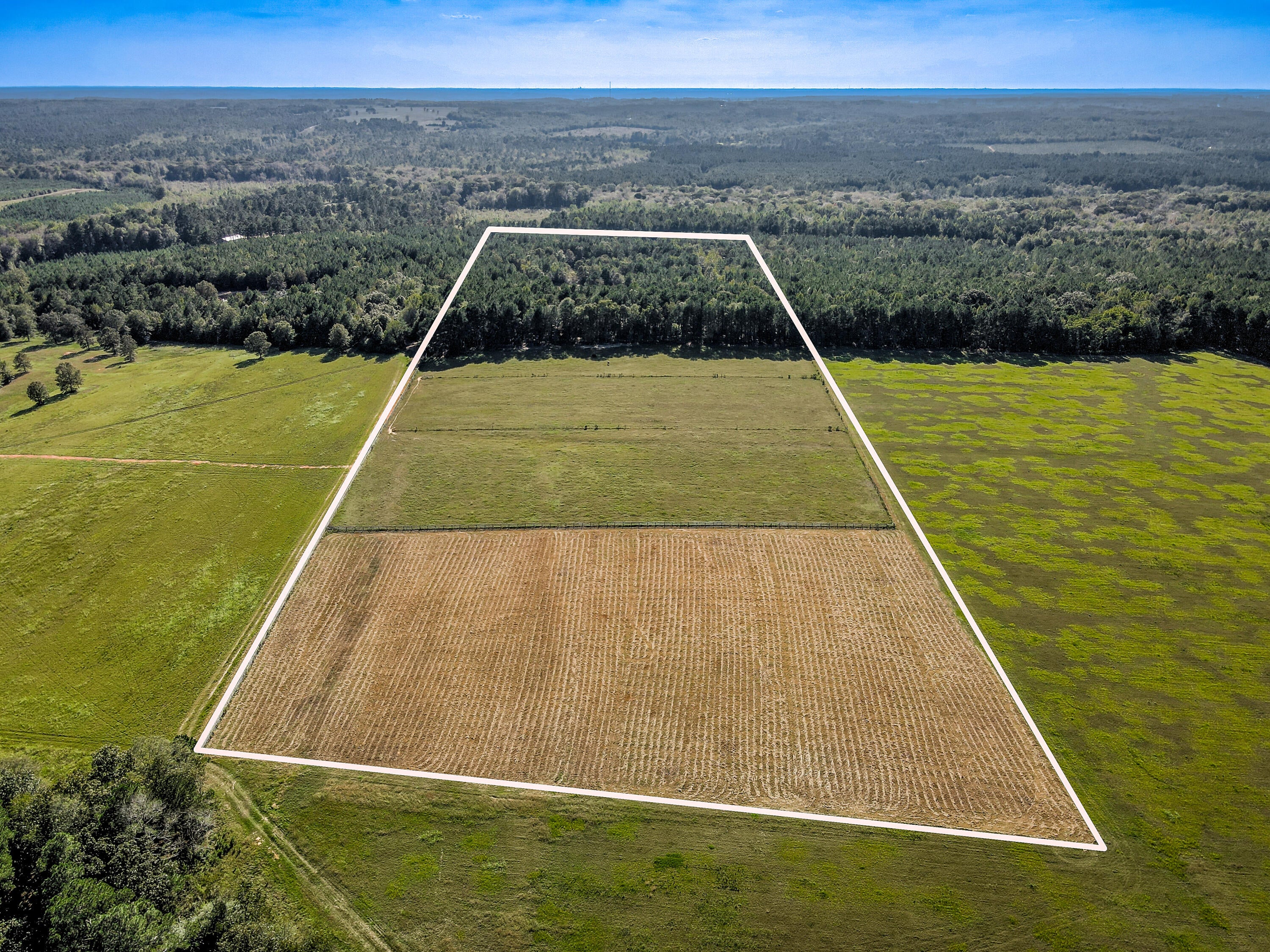 Wagener, South Carolina, 29164, United States, ,Land,For Sale,1969040