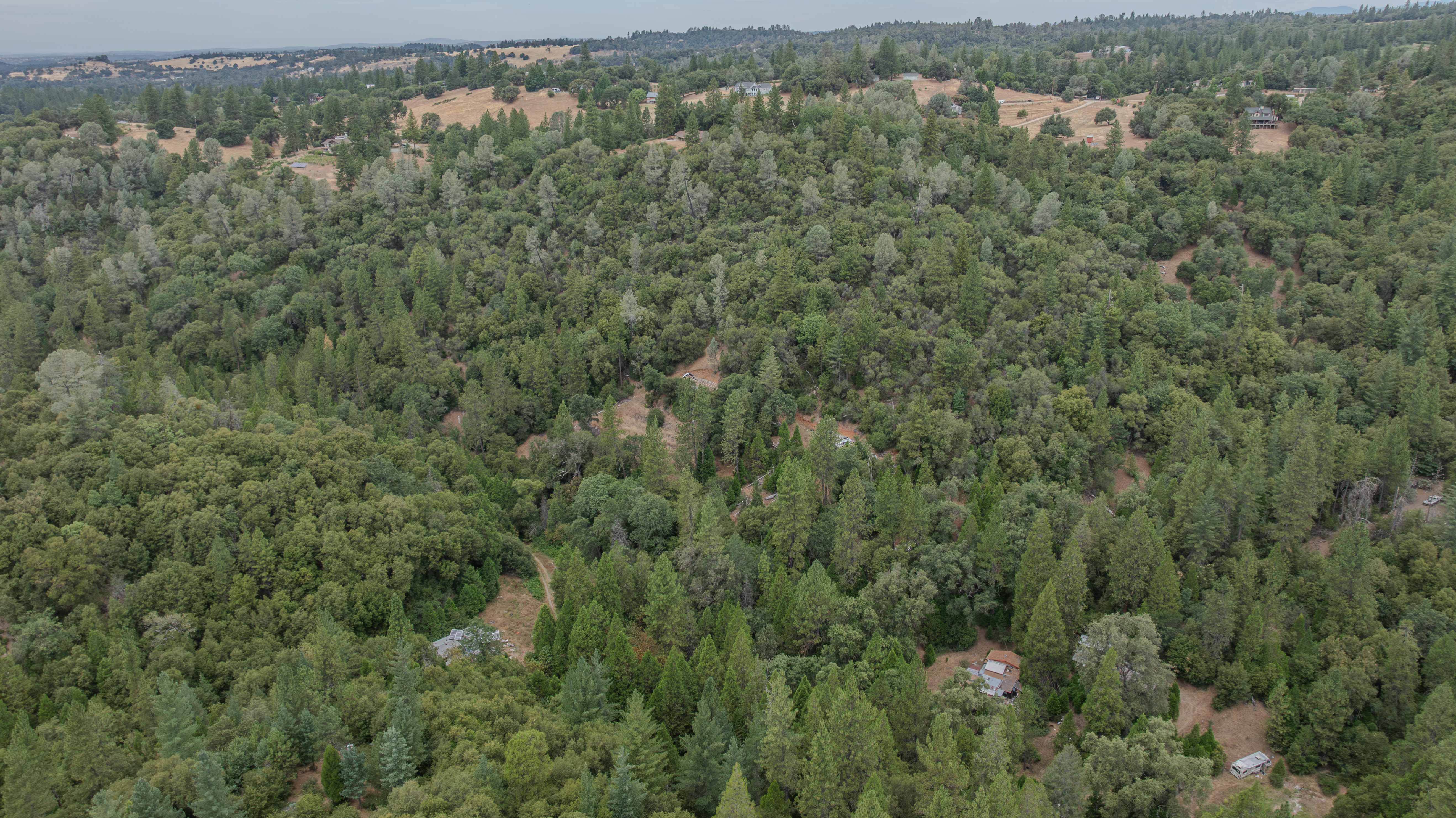  18101 Old River Road, Fiddletown, CA 95629 - 物件實景