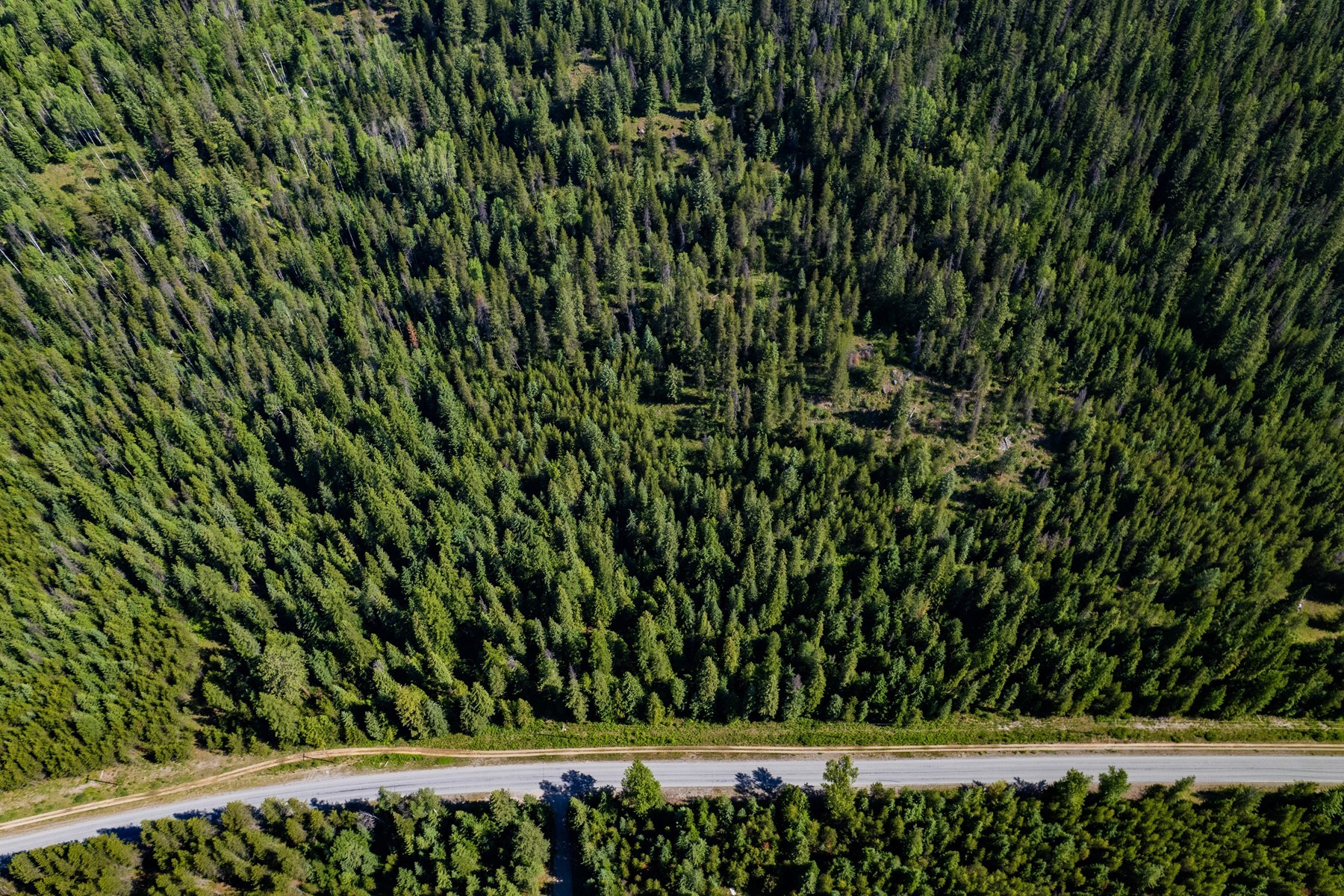  12 Forested Acres Priest Lake Idaho - 物件實景