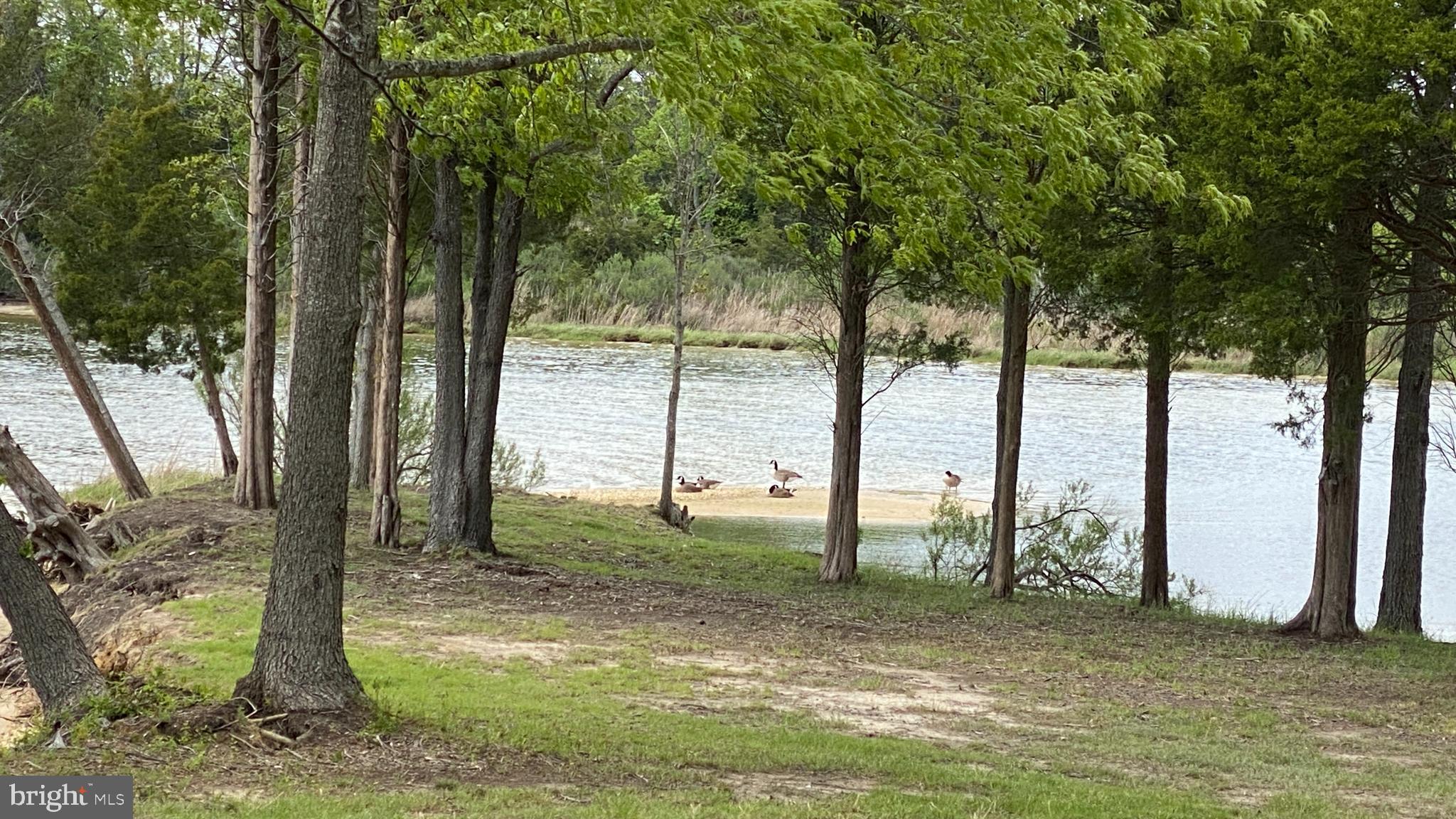 Leonardtown, Maryland, 20650, United States, ,Residential,For Sale,1922019