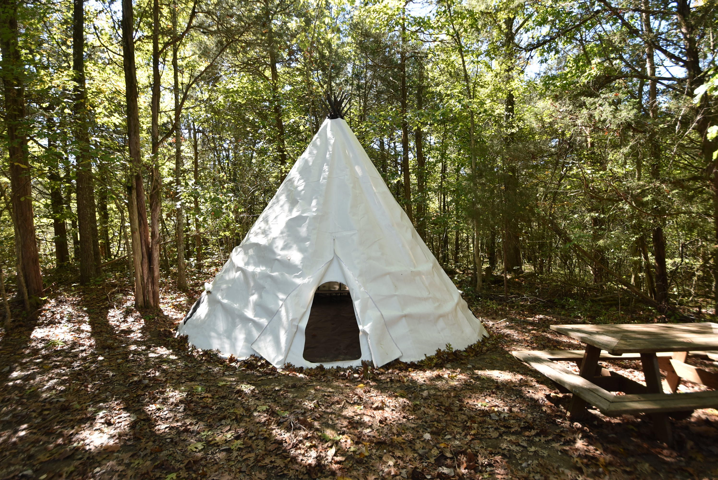 Willisburg, Kentucky, 40078, United States, 4 Bedrooms Bedrooms, ,1 BathroomBathrooms,Residential,For Sale,1962831