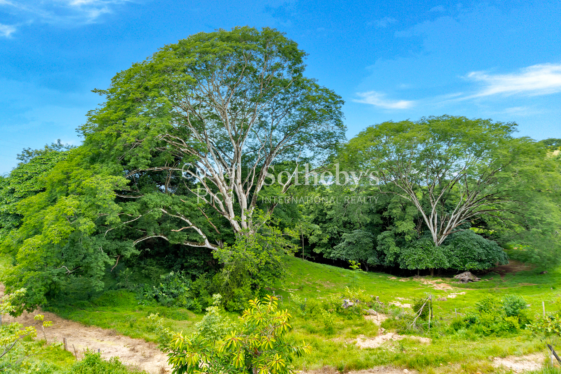  Vistamar Esparza Development Land - 物件實景
