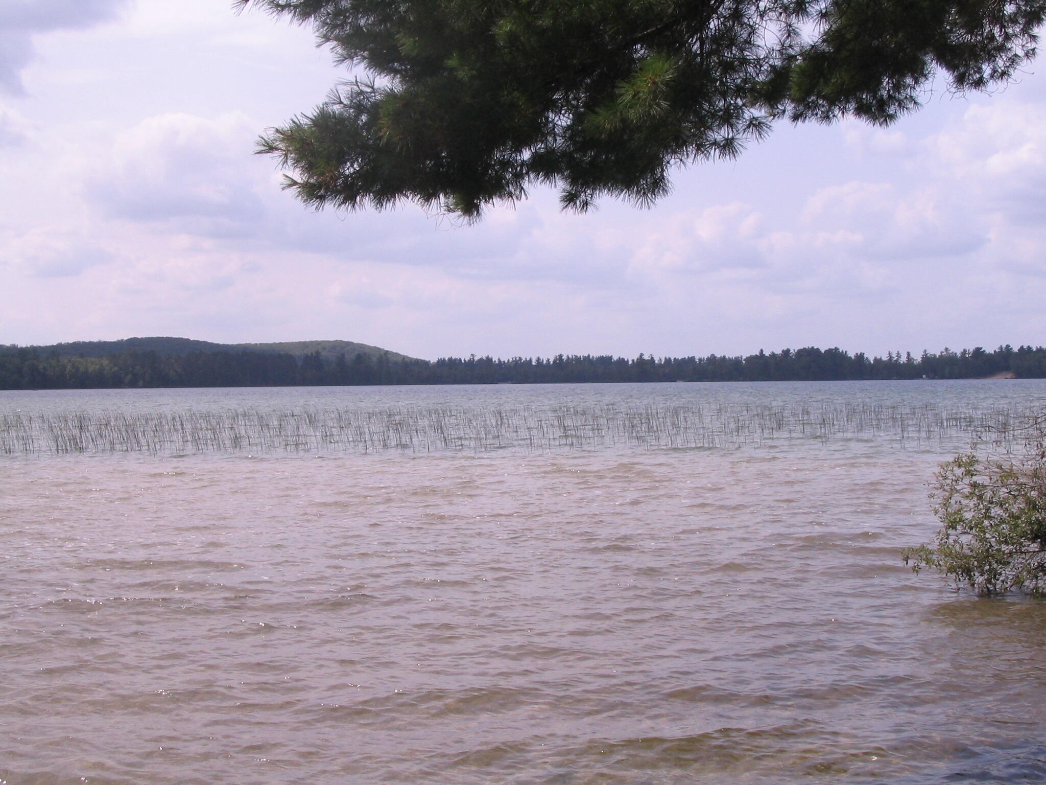 Grayling, Michigan, 49738, United States, ,Residential,For Sale,1845615