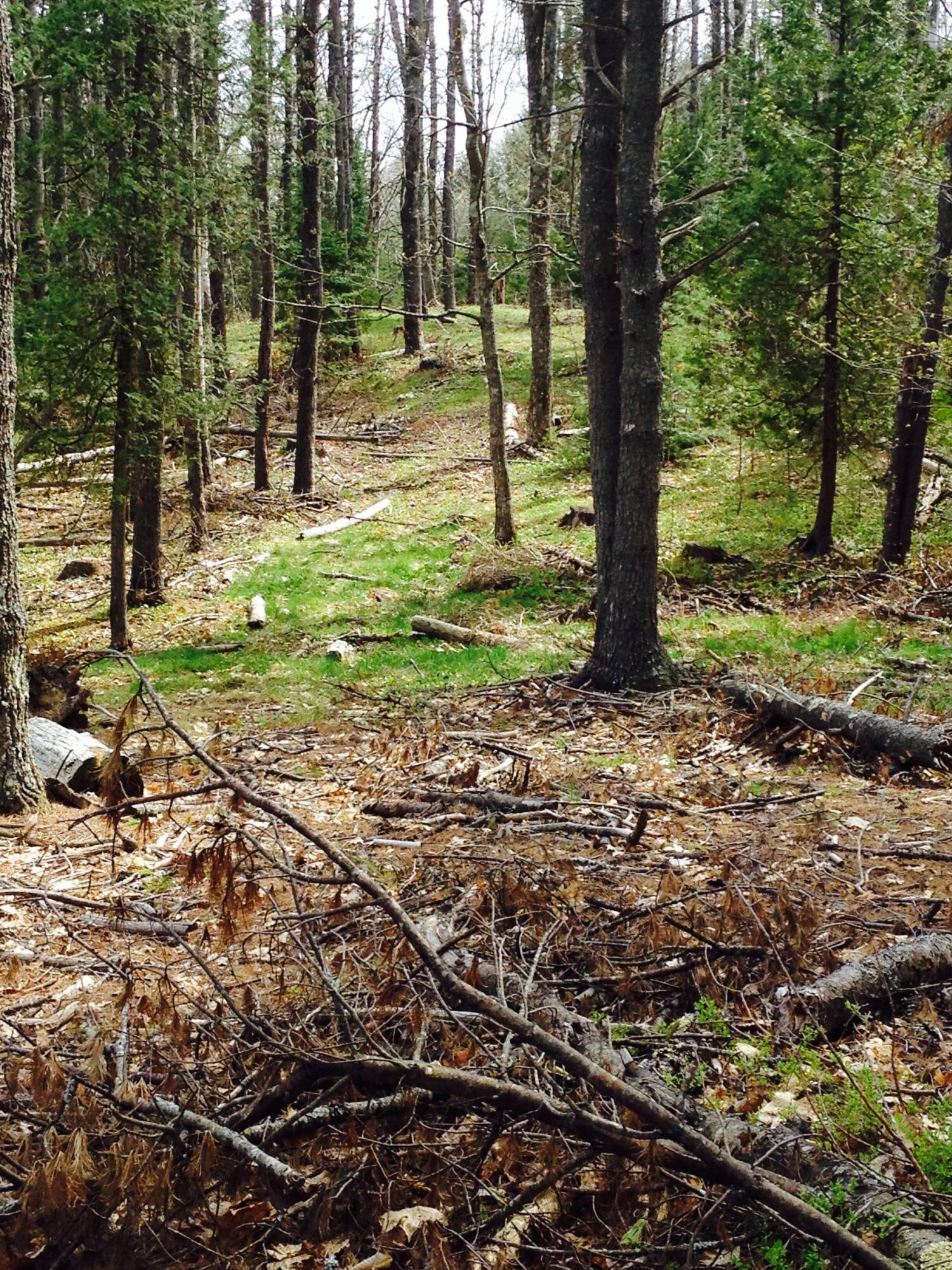 Brunswick, Maine, 04011, United States, ,Land,For Sale,1967592