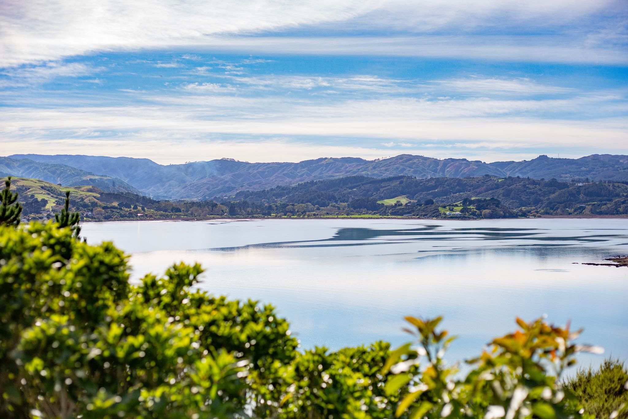  11 Spinnaker Drive, Whitby - 物件實景