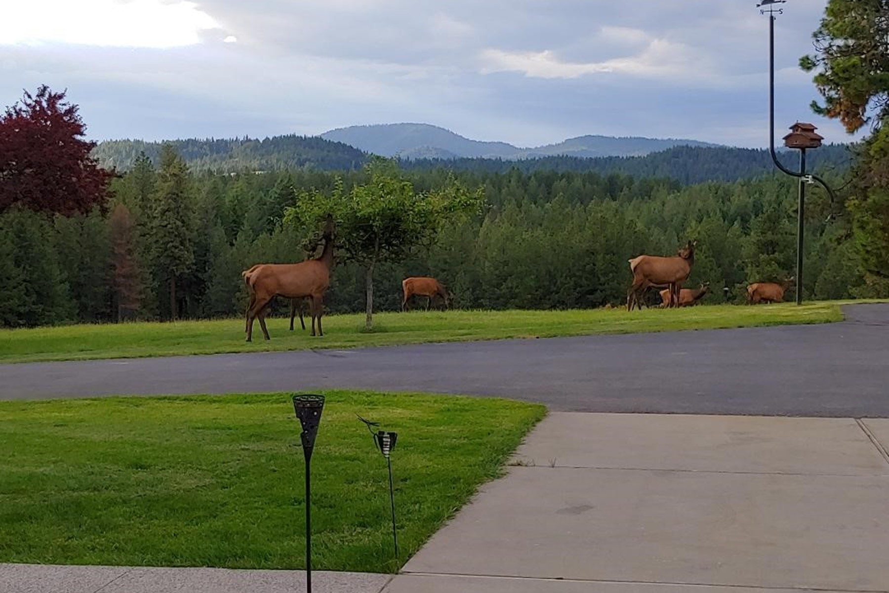  Ranchette - 物件實景