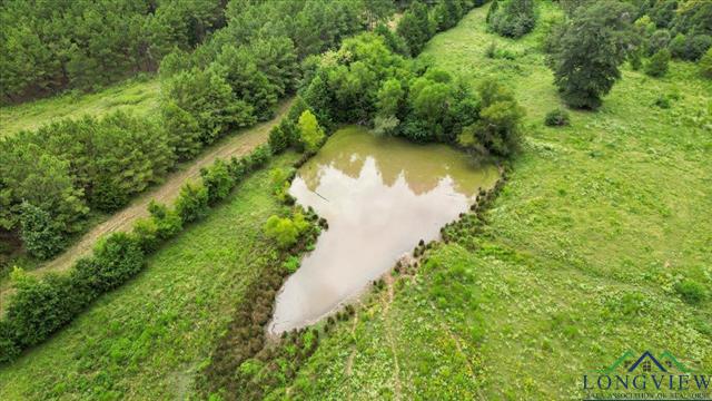 Henderson, Texas, 75654, United States, ,Land,For Sale,1951348