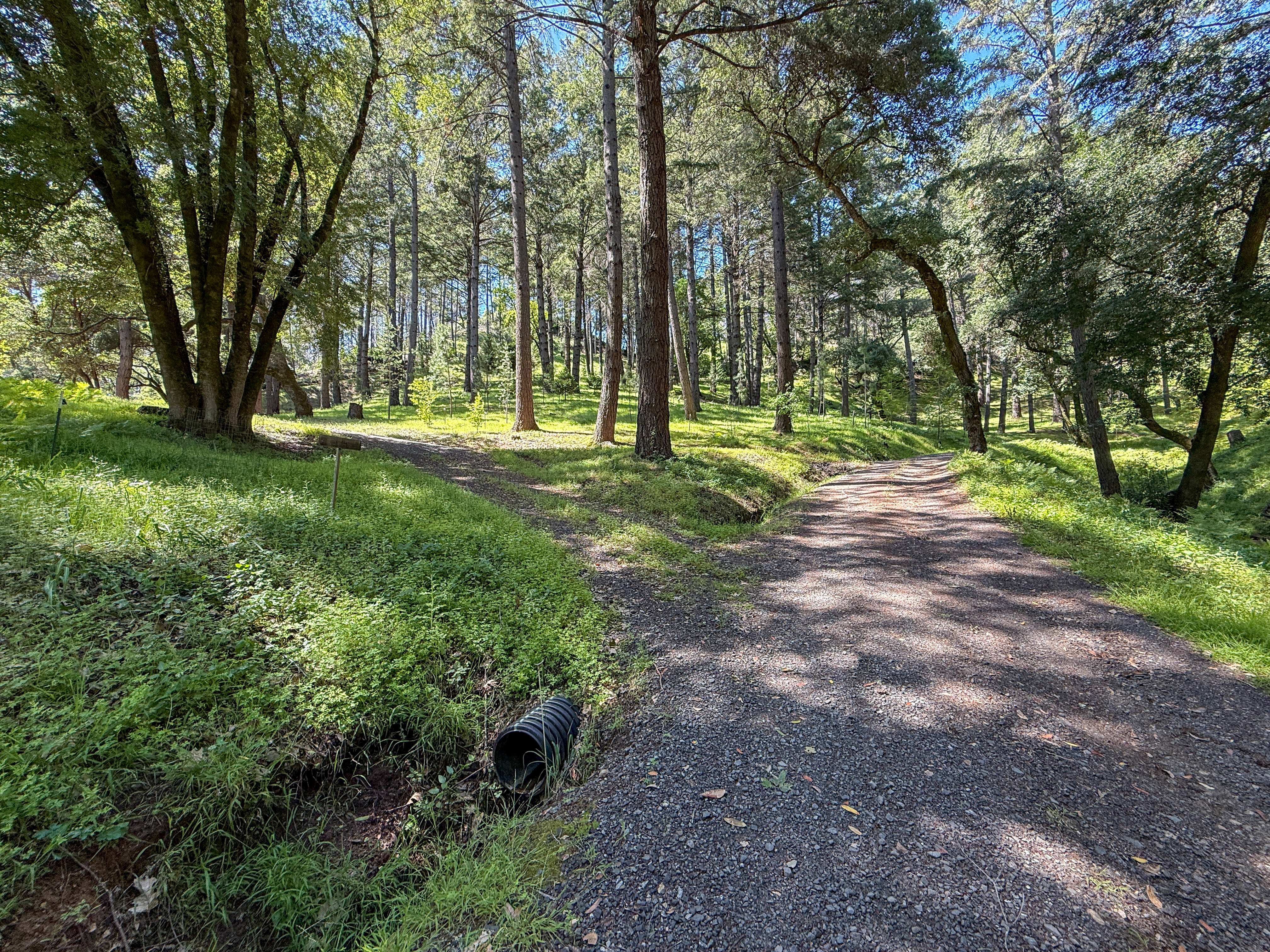  18900 Armstrong Woods Road, Guerneville, CA 95446 - 物件實景