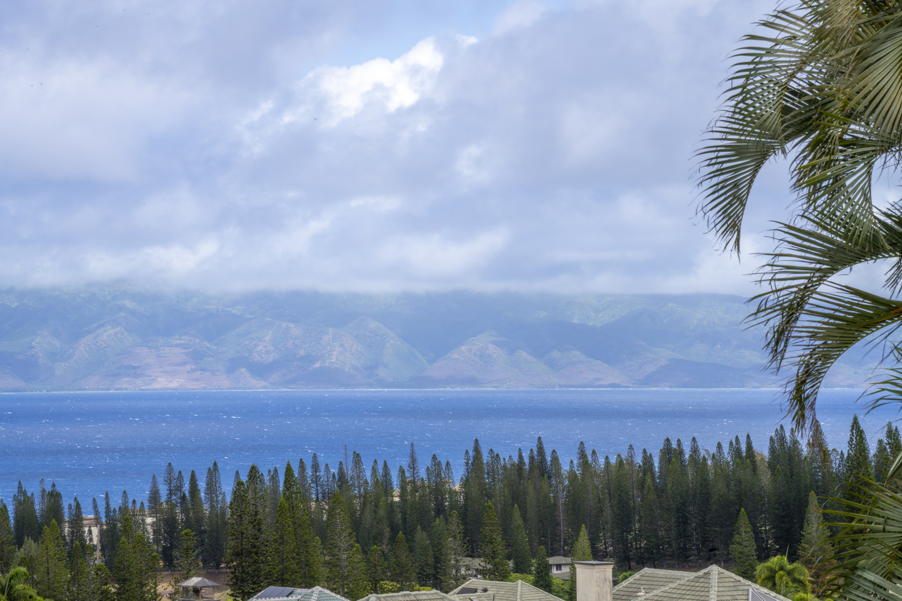  Big Time Views at The Top Of Pineapple Hill - 物件實景
