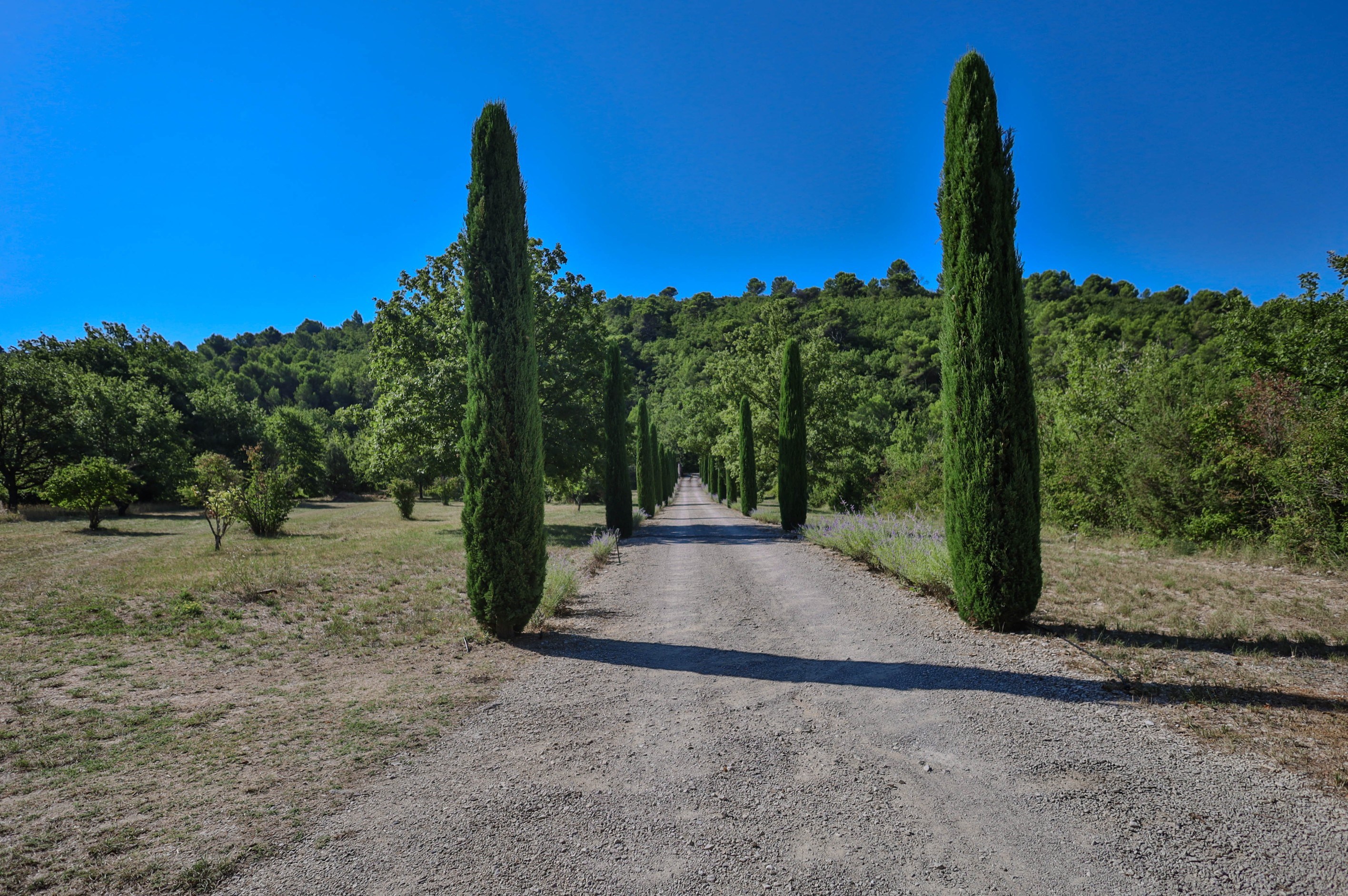  Elegant Provençal Property with Views over Gordes - 物件實景