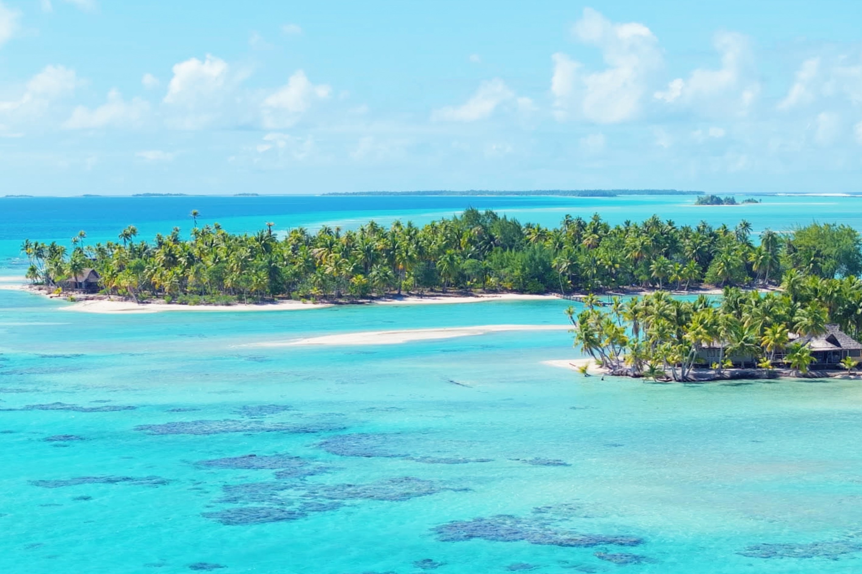  Tuamotu - Rangiroa - A private island to be reinvented - 物件實景