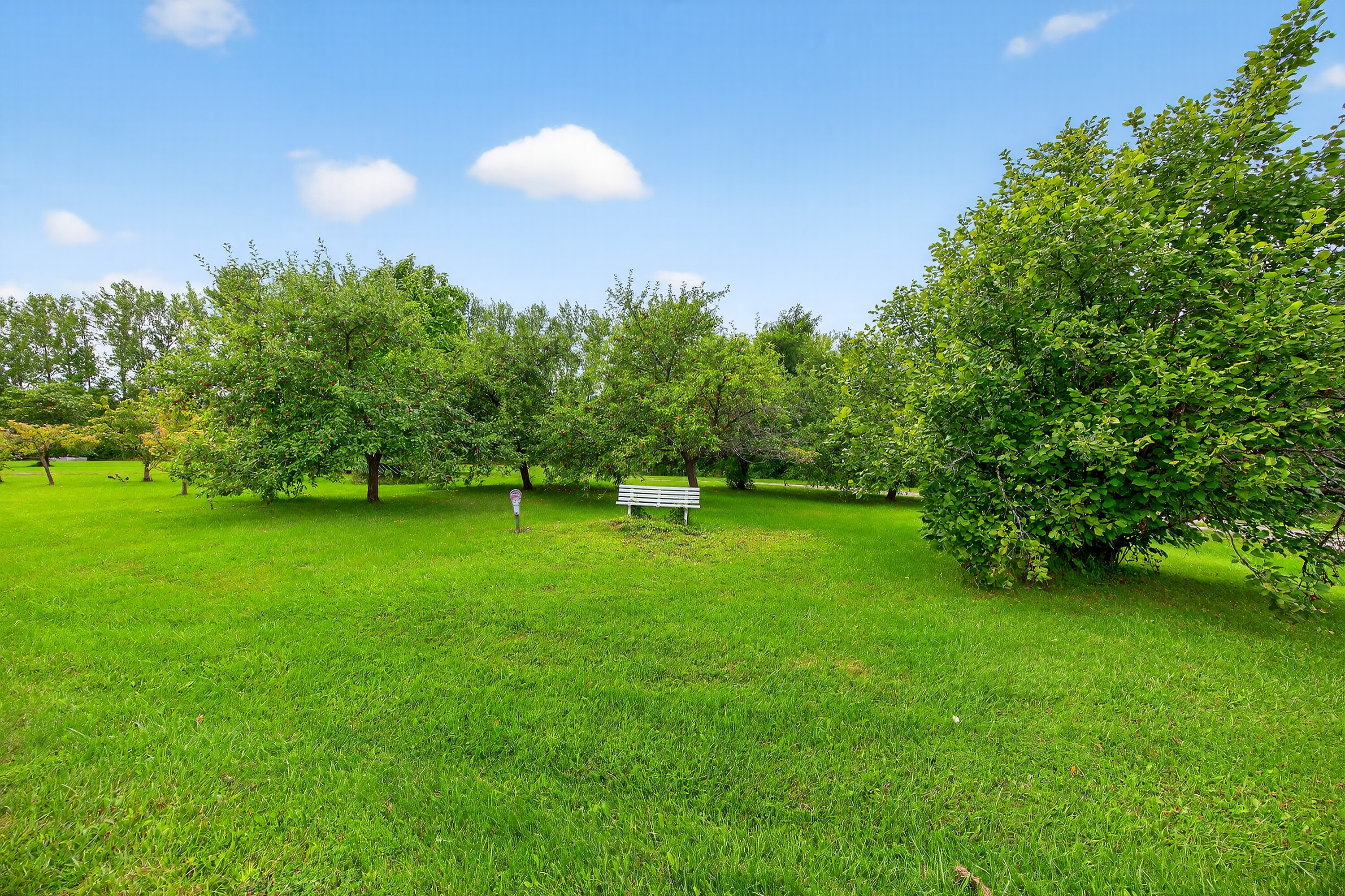  34.74 Picturesque Acres - 物件實景