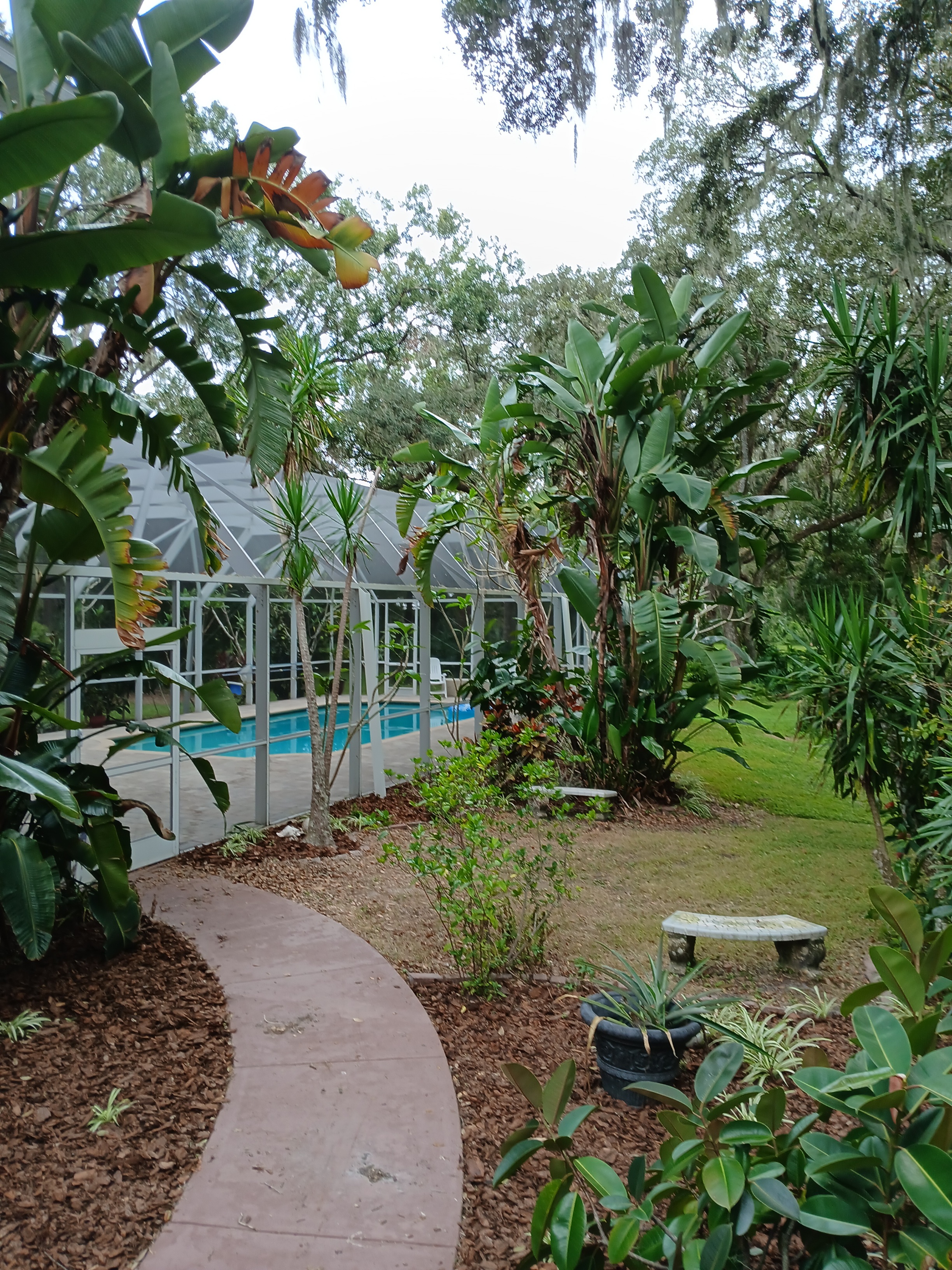 Dover, Florida, 33527, United States, 4 Bedrooms Bedrooms, ,5 BathroomsBathrooms,Residential,For Sale,1982363