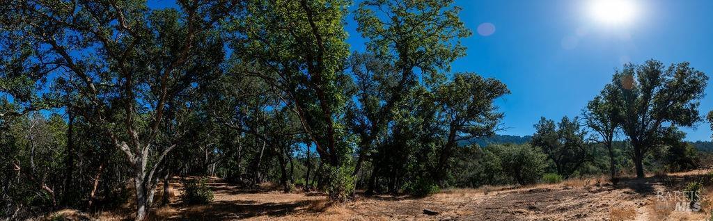 St. Helena, California, 94574, United States, ,Residential,For Sale,1846631