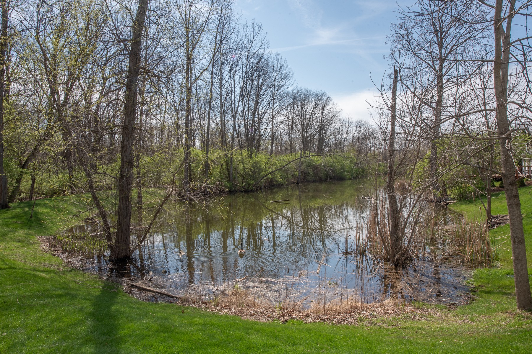  Beautiful Lafayette Home with Finished Walk-Out Basement - 物件實景