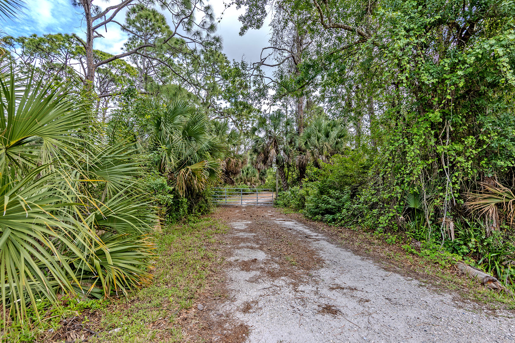  VENICE FARMS - 物件實景