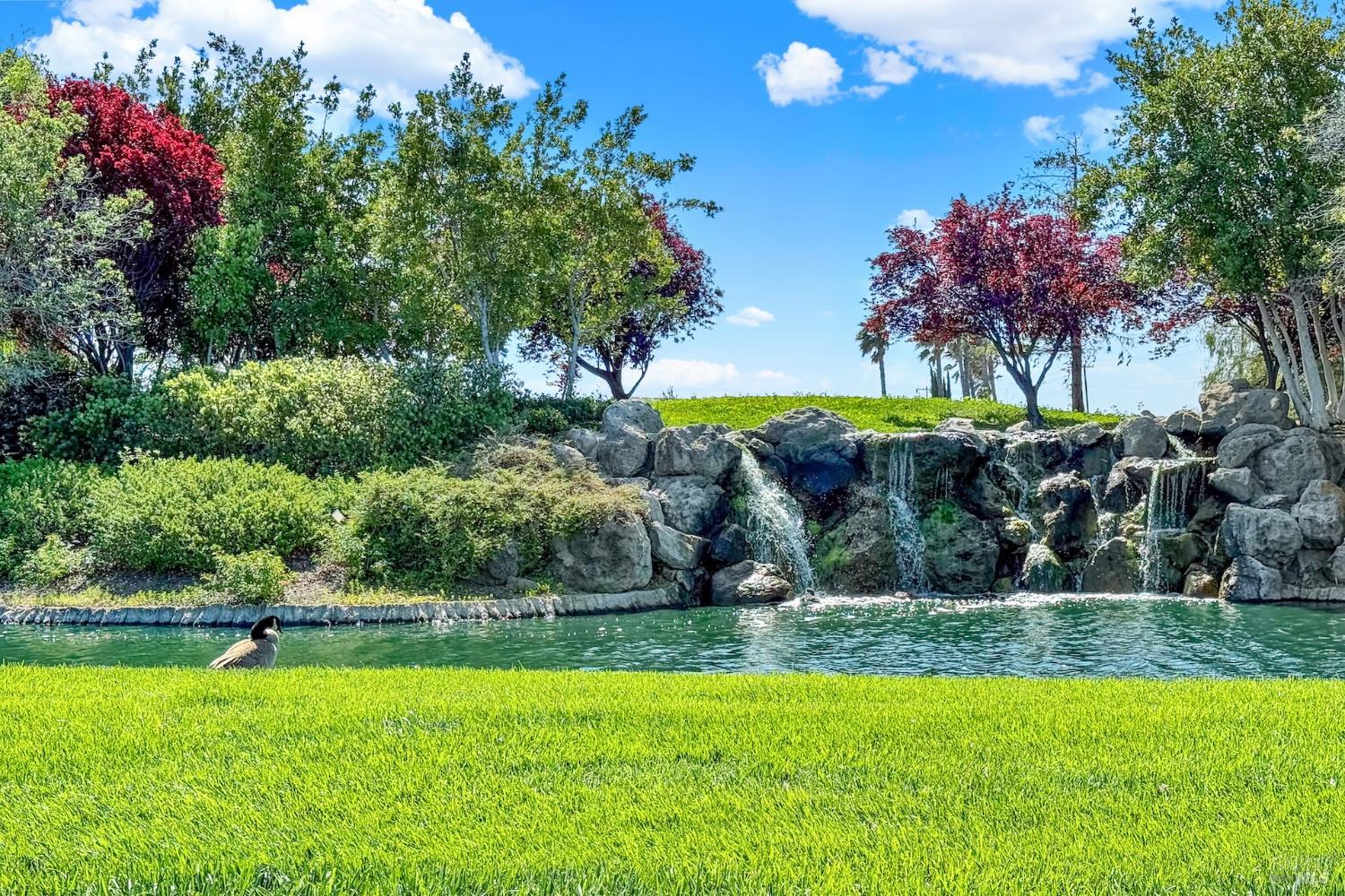 Rio Vista, California, 94571, United States, 2 Bedrooms Bedrooms, ,2 BathroomsBathrooms,Residential,For Sale,1995709