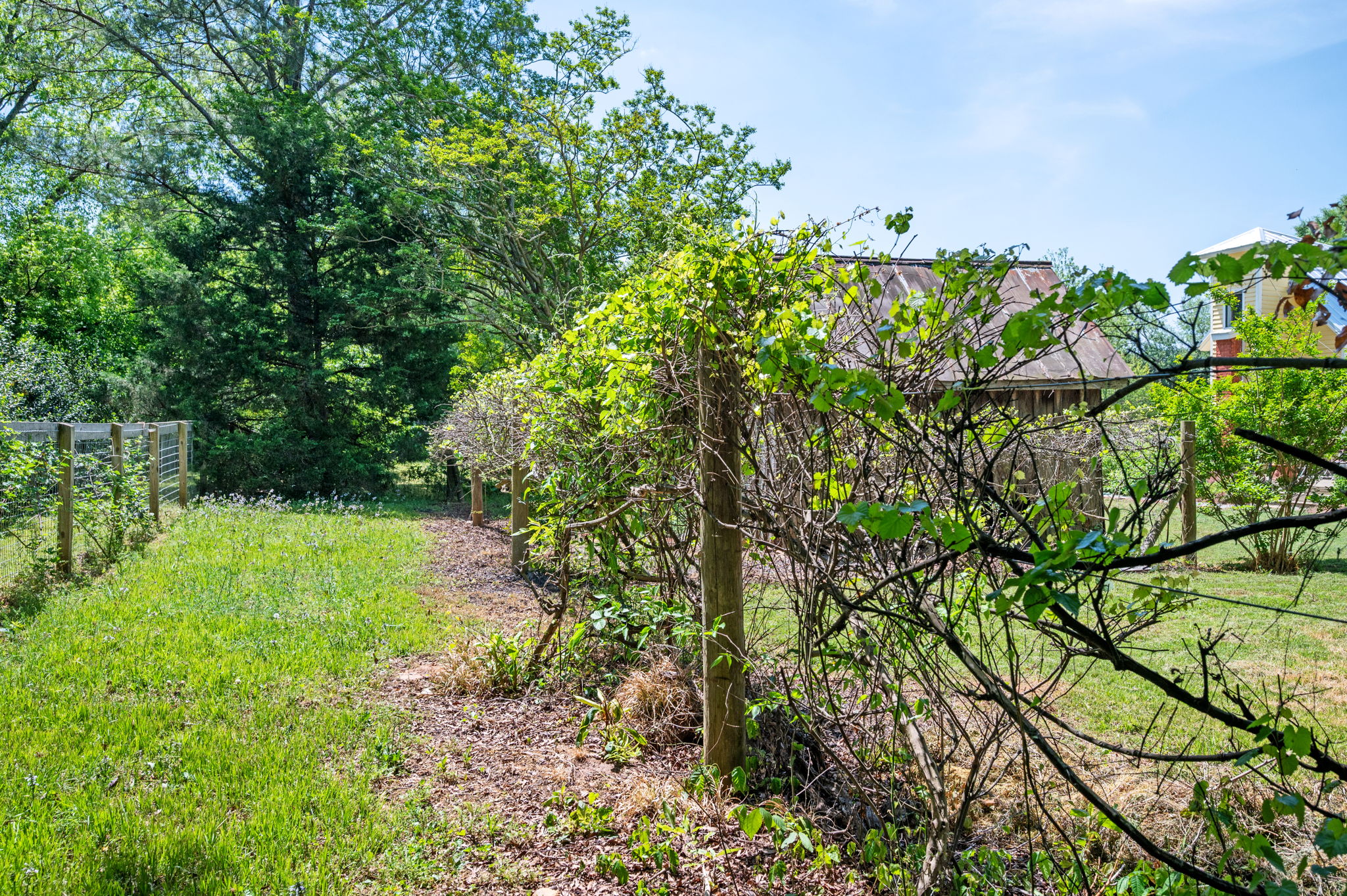  Southern Charm in Madison - 物件實景
