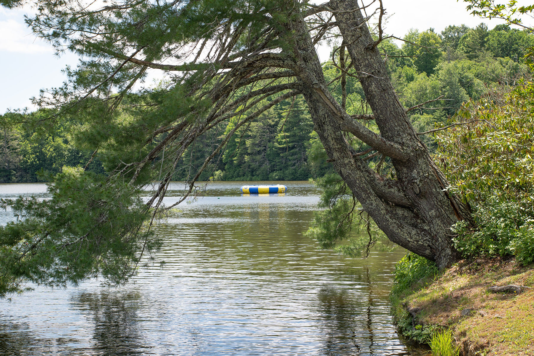  NEWLAND - LINVILLE LAND HARBOR - 物件實景