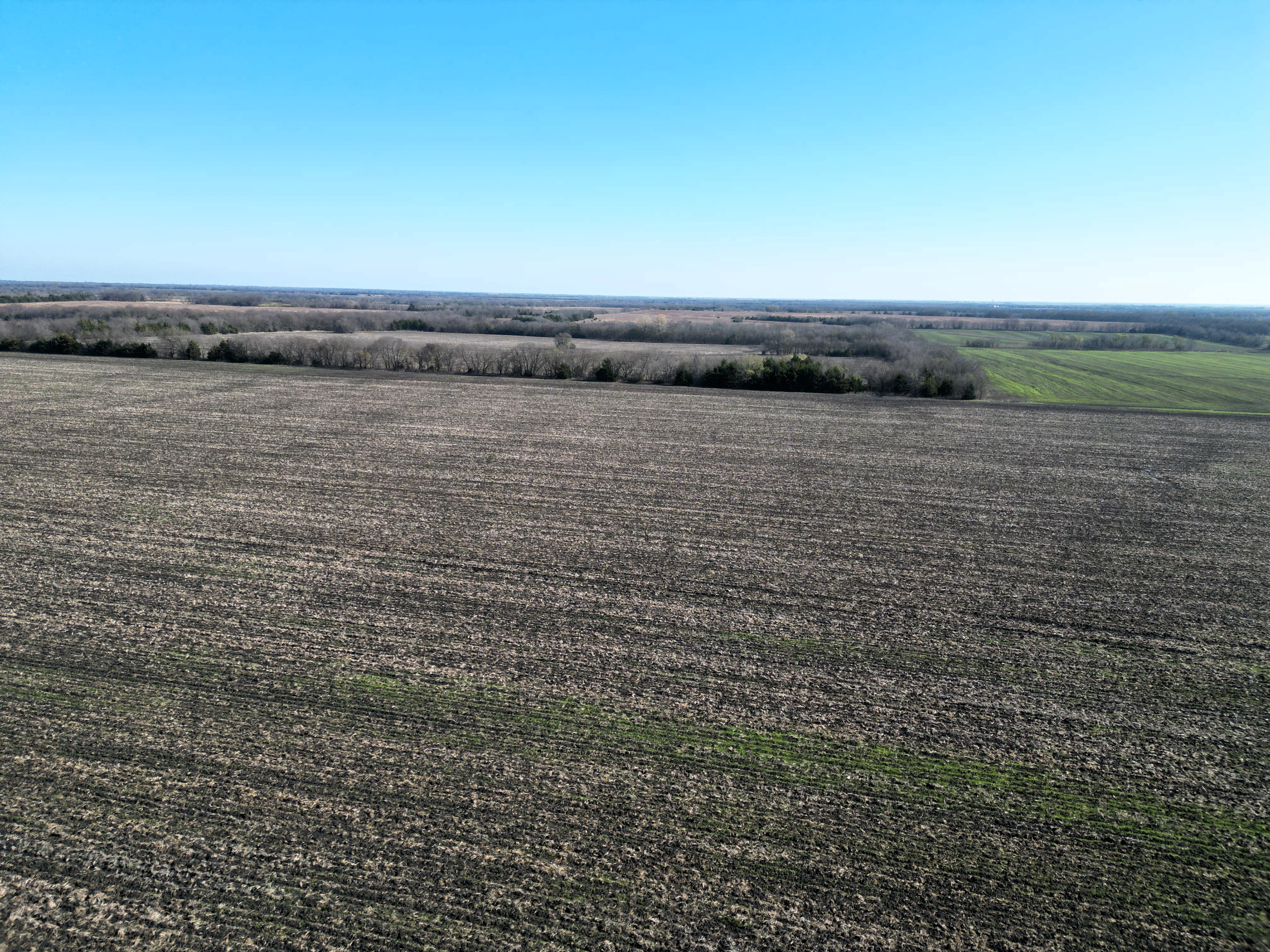 Commerce, Texas, 75428, United States, ,Land,For Sale,2001483