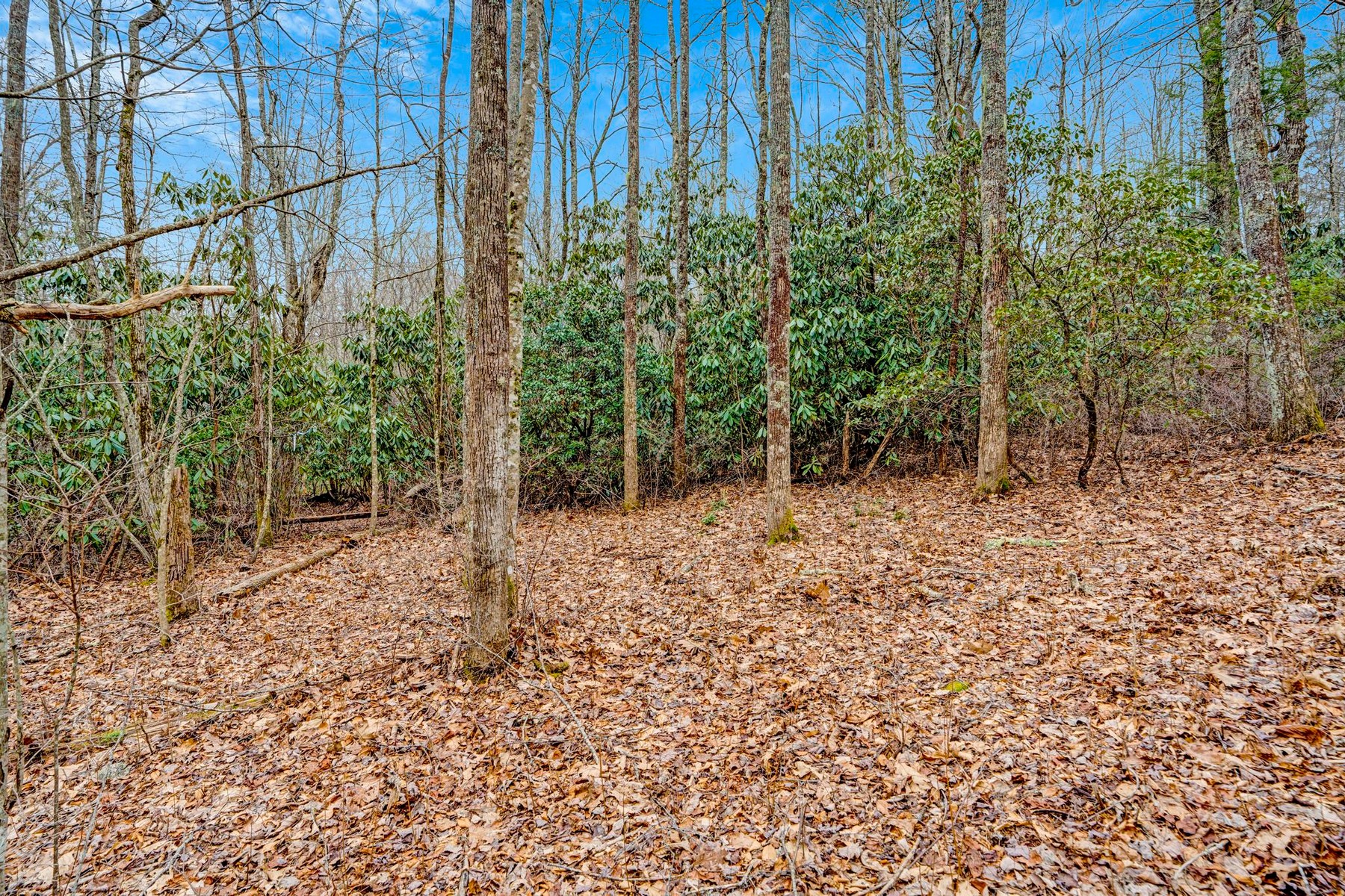  Lot 21 Hardscrabble Ridge Road - 物件實景