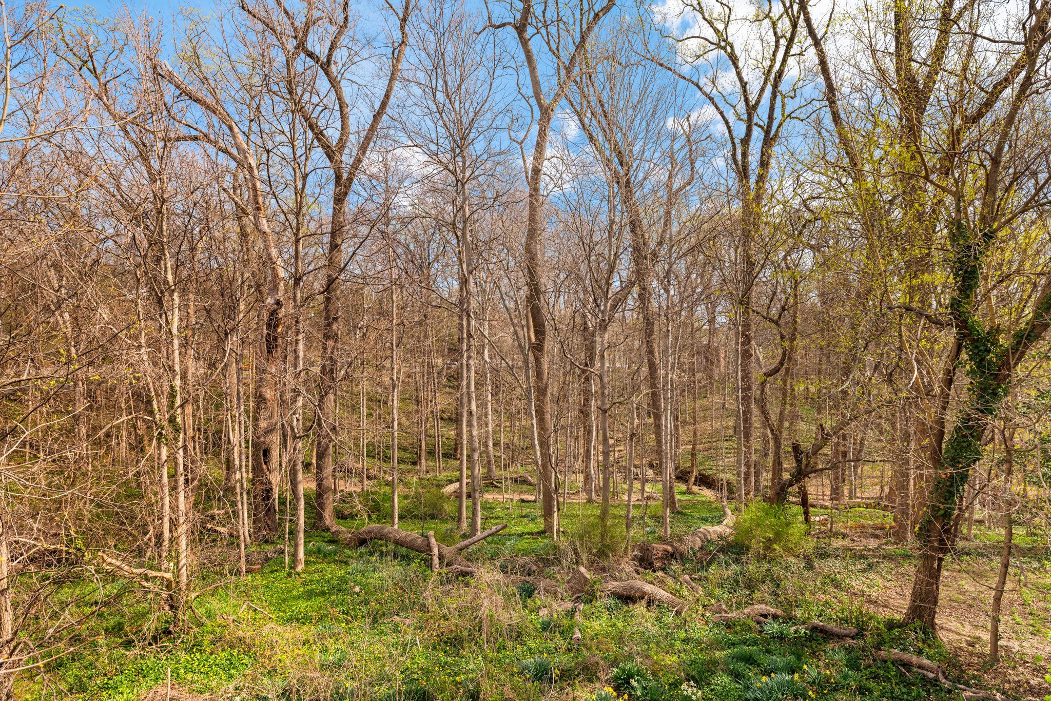  2333 Nebraska Avenue NW, Washington, DC, 20016 - 物件實景