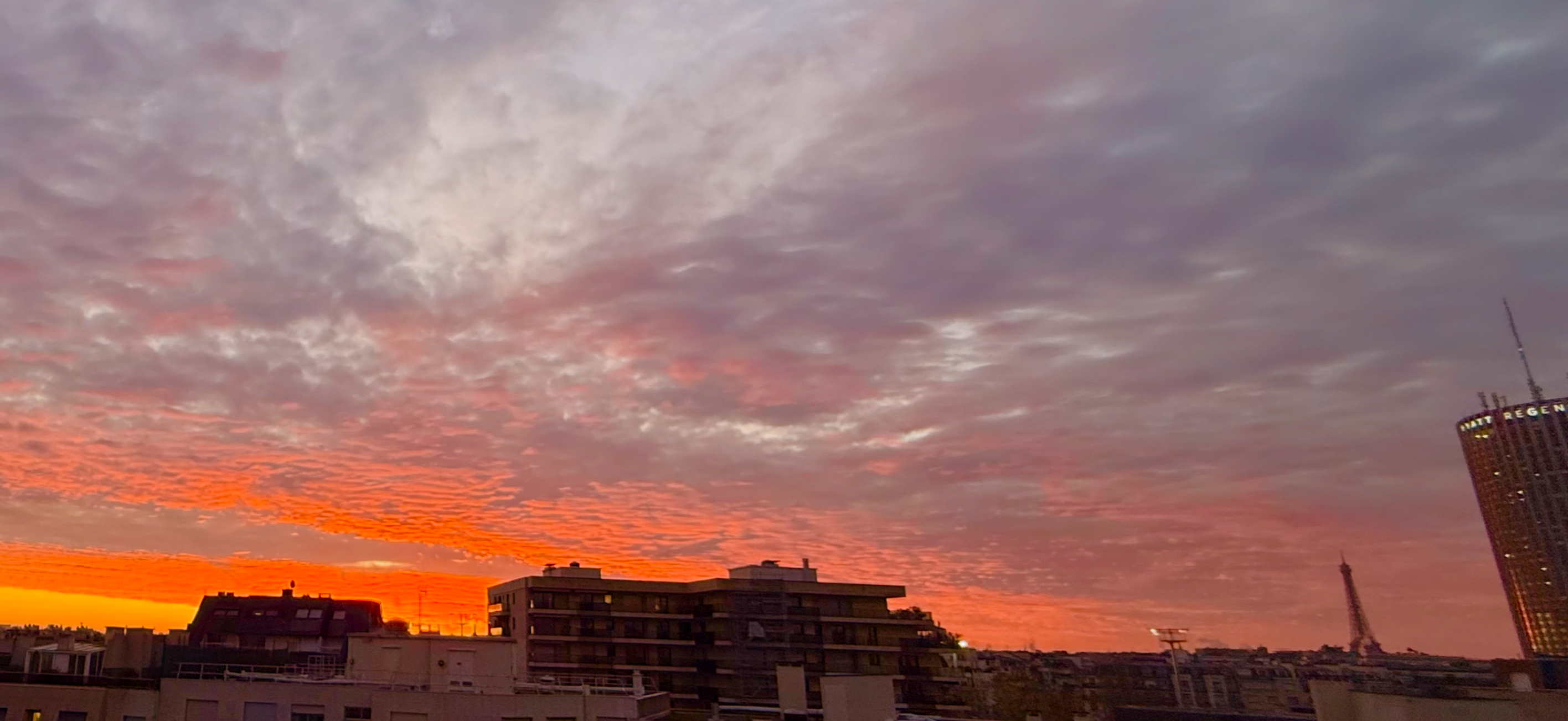  ROOFTOP TERRACE / PASTEUR SCHOOL CATCHMENT AREA - 物件實景