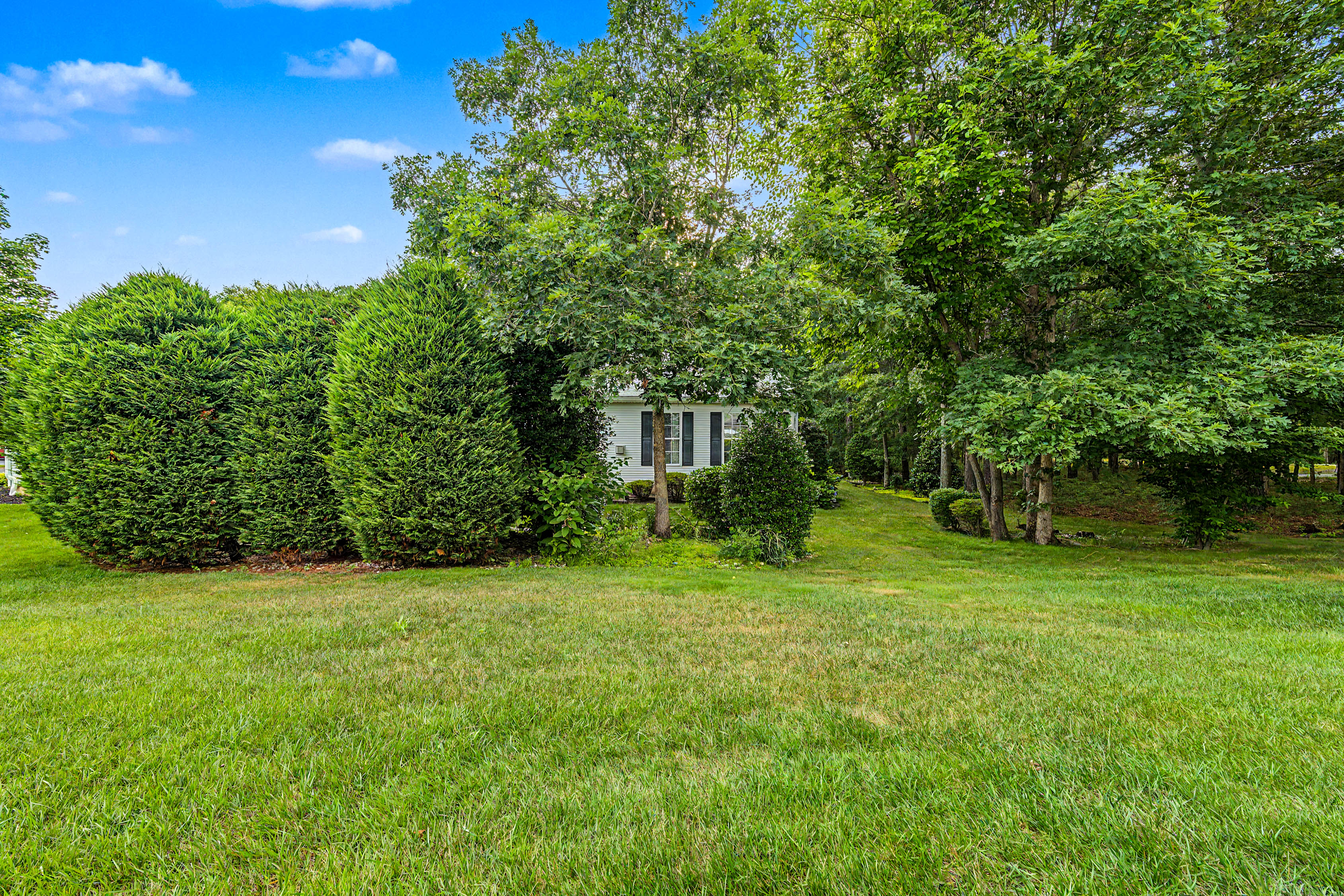  103 Oxford, Galloway Township, NJ, 08205 - 物件實景