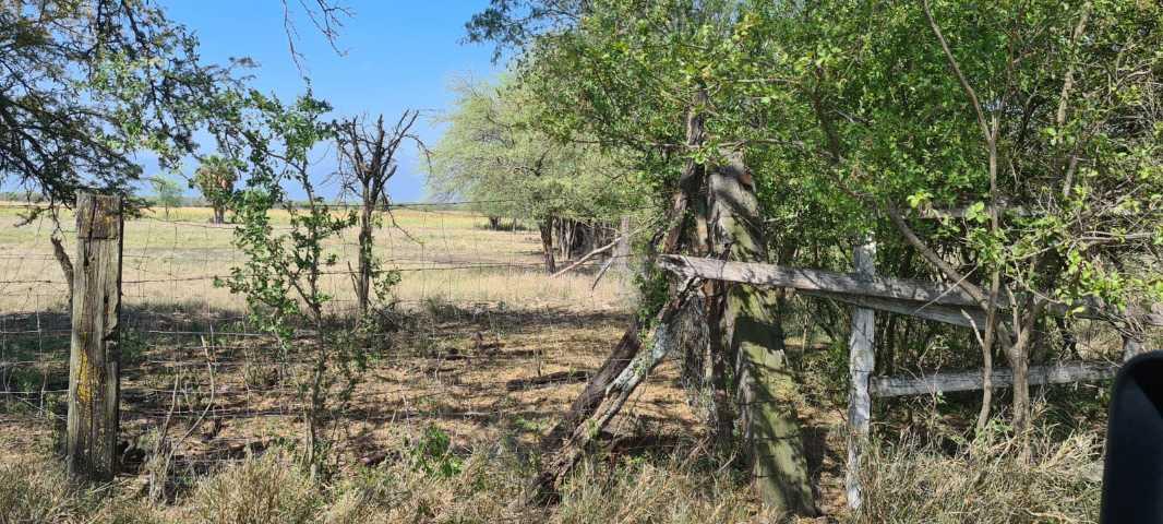 EJI SAN JUAN DE LOS GARZA, Cadereyta Jiménez, Nuevo León, 67459, Mexico, 1 Bedroom Bedrooms, ,Residential,For Sale,EJI SAN JUAN DE LOS GARZA,1440992
