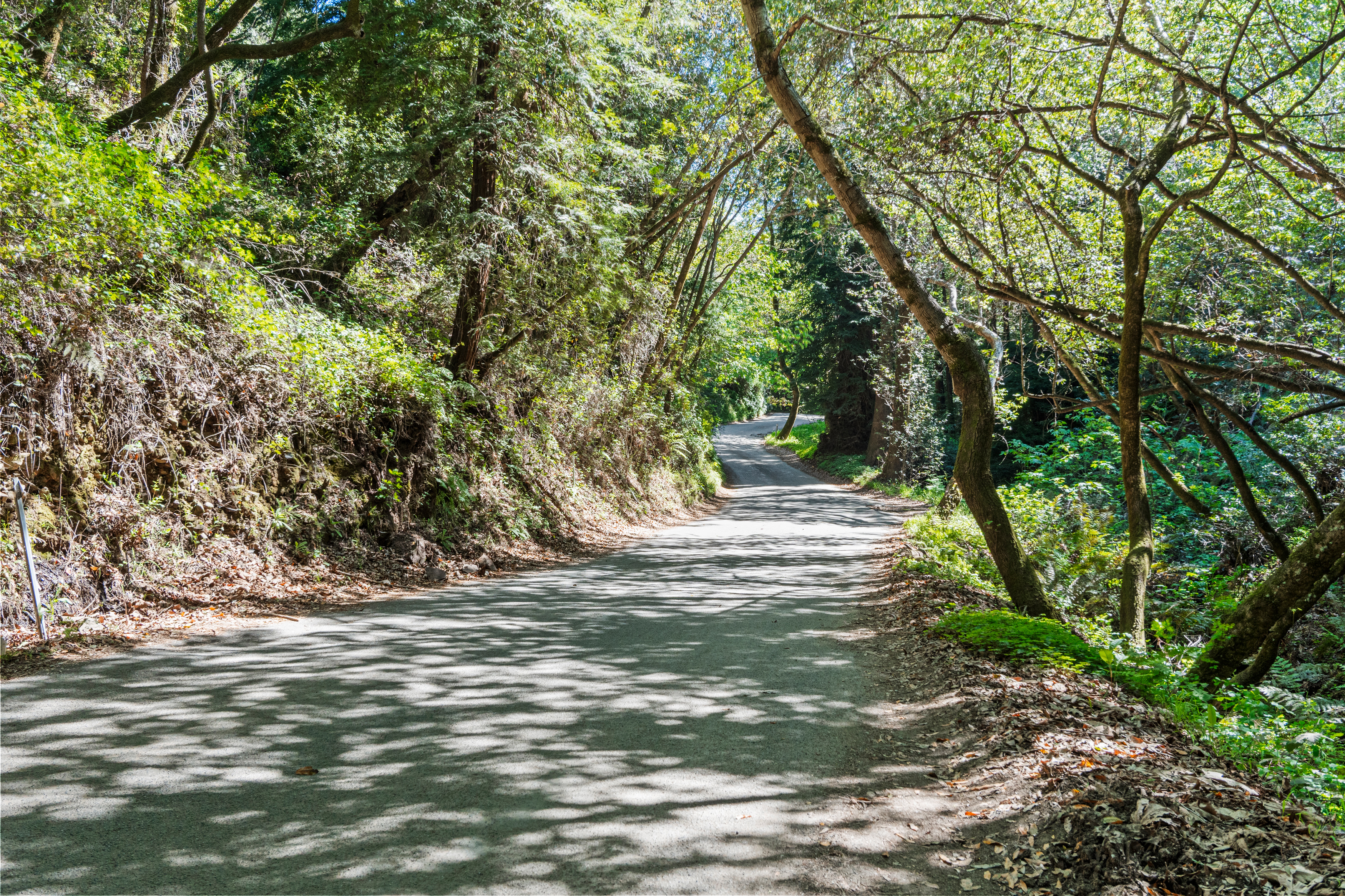  0 Sycamore Cyn Road - 物件實景