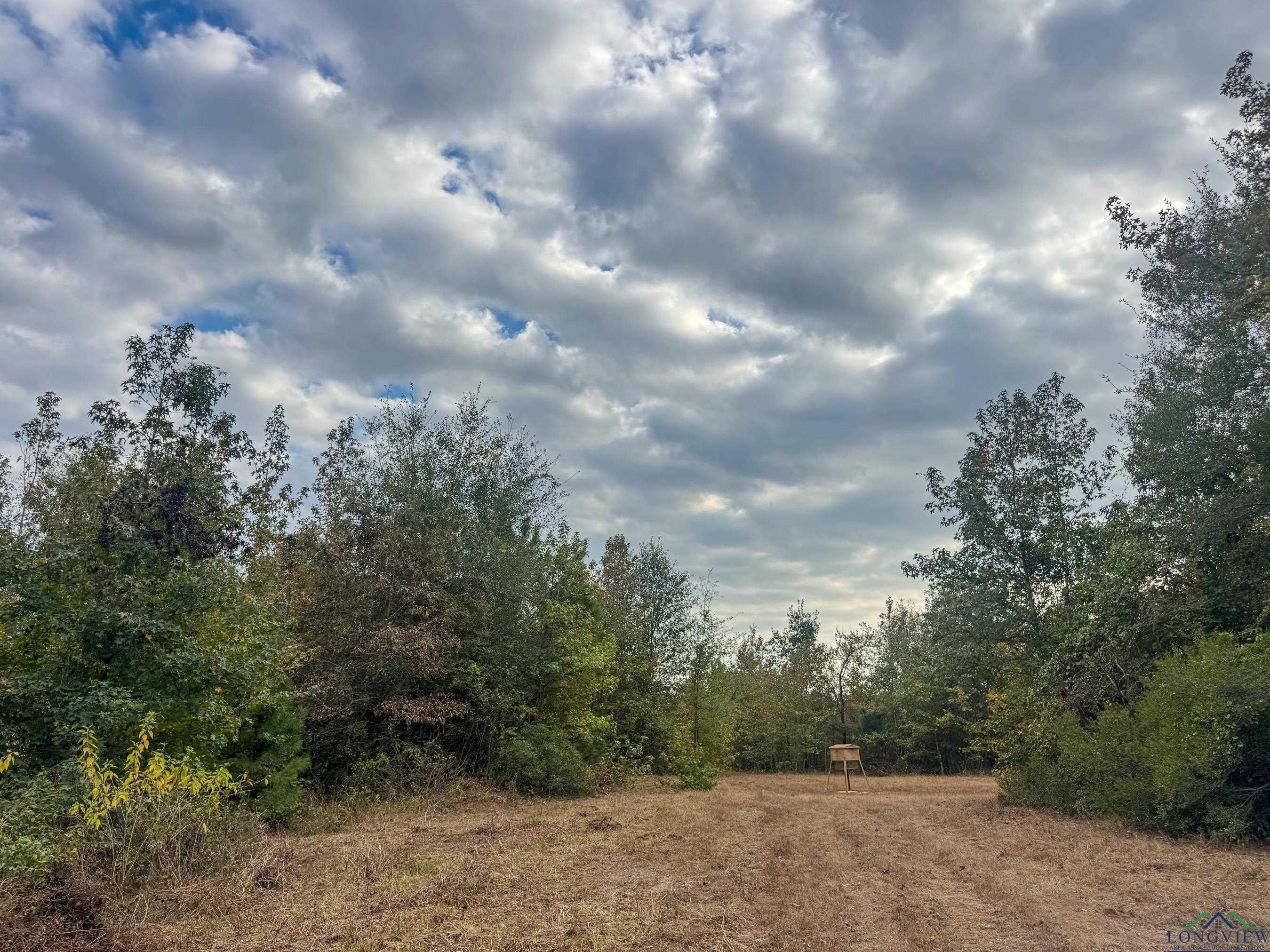 Marietta, Texas, 75566, United States, ,Land,For Sale,1977958