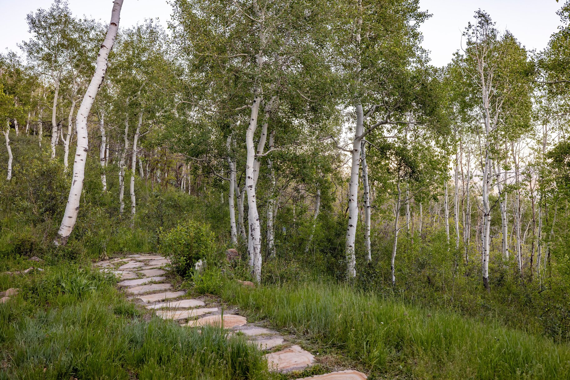  One of a Kind Mountain Retreat on Nearly 12 Acres with Panoramic Ski Resort View - 物件實景