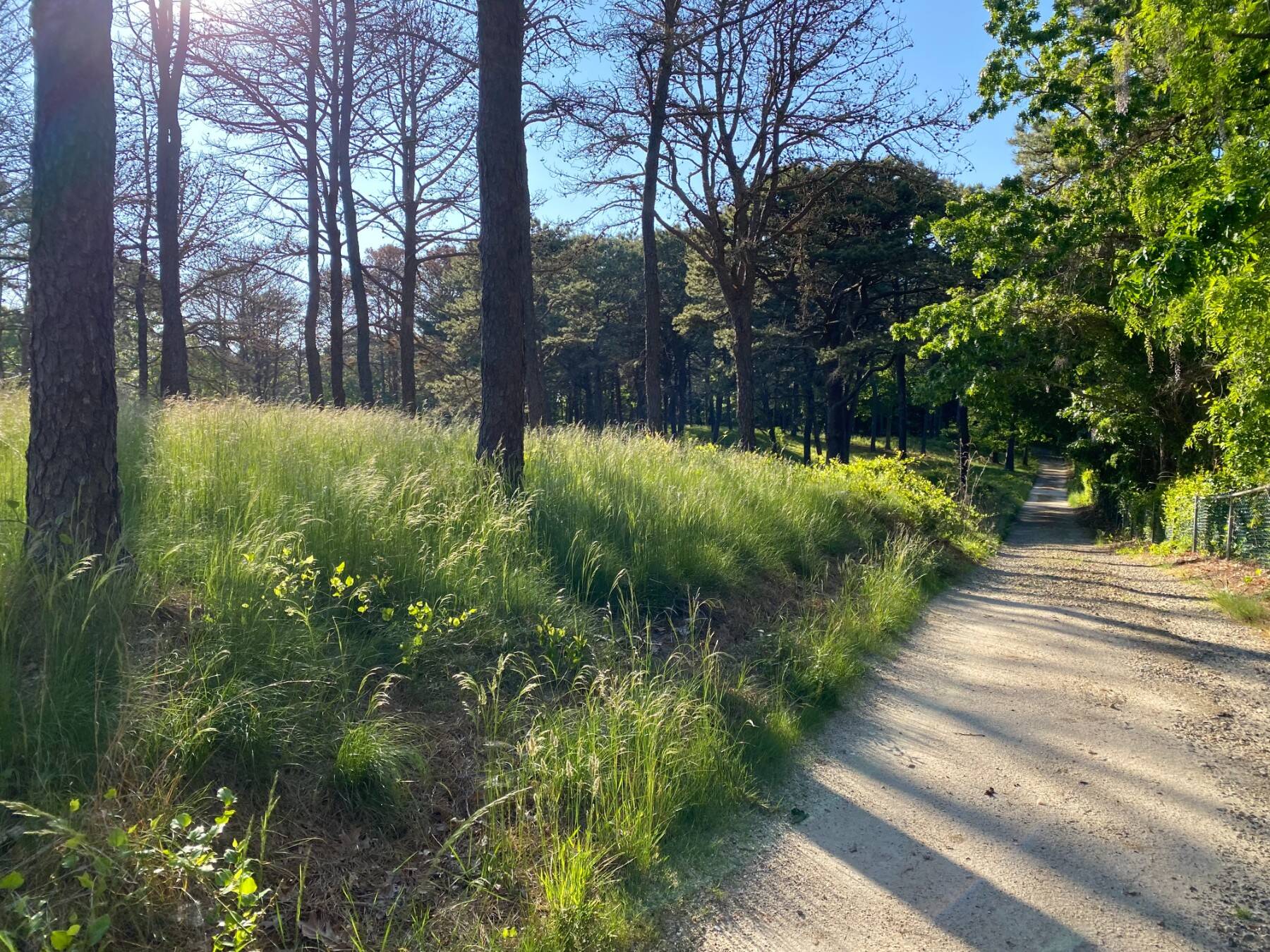  Legendary Atterbury Estate, Southampton NY - 物件實景