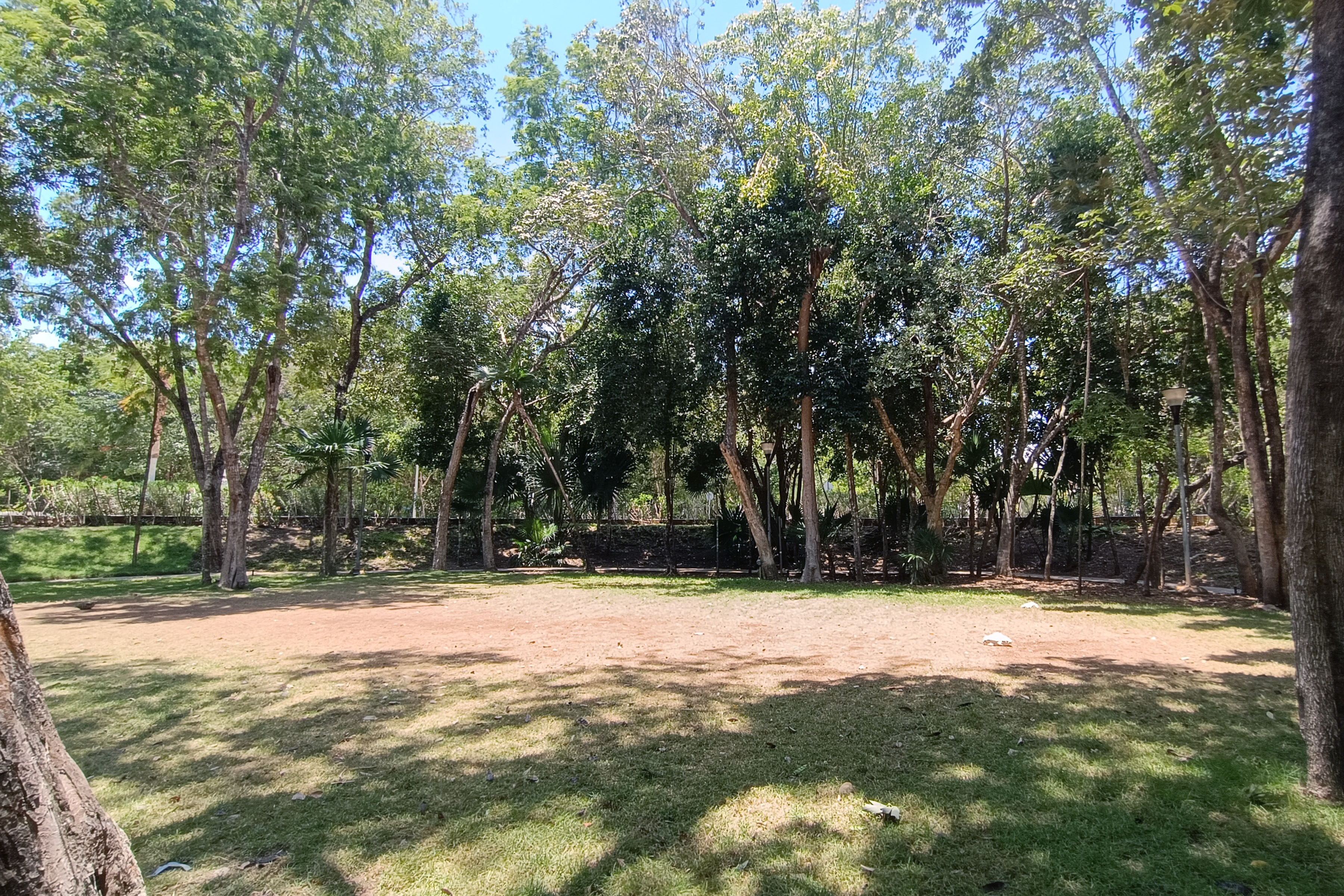 Luxury Residence Jungle Experience - 物件實景