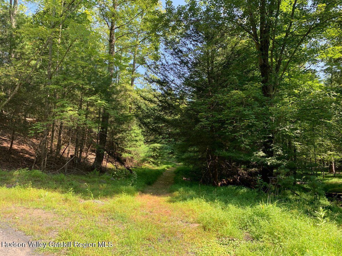 Woodstock, New York, 12498, United States, ,Residential,For Sale,1918259