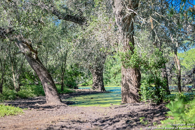 Beeville, Texas, 78102, United States, ,Land,For Sale,1942121