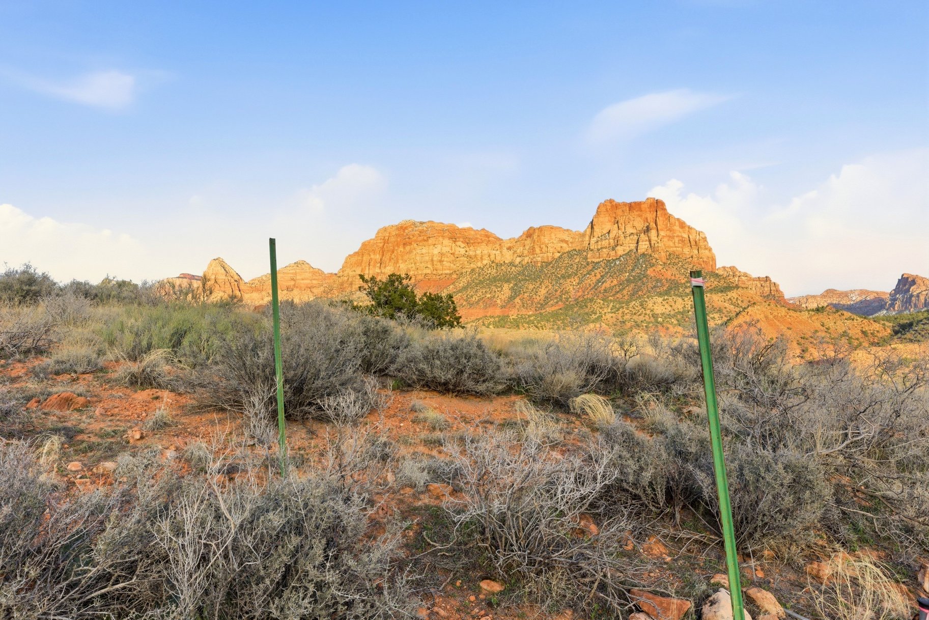  Zion Foothill Masterpiece - 物件實景