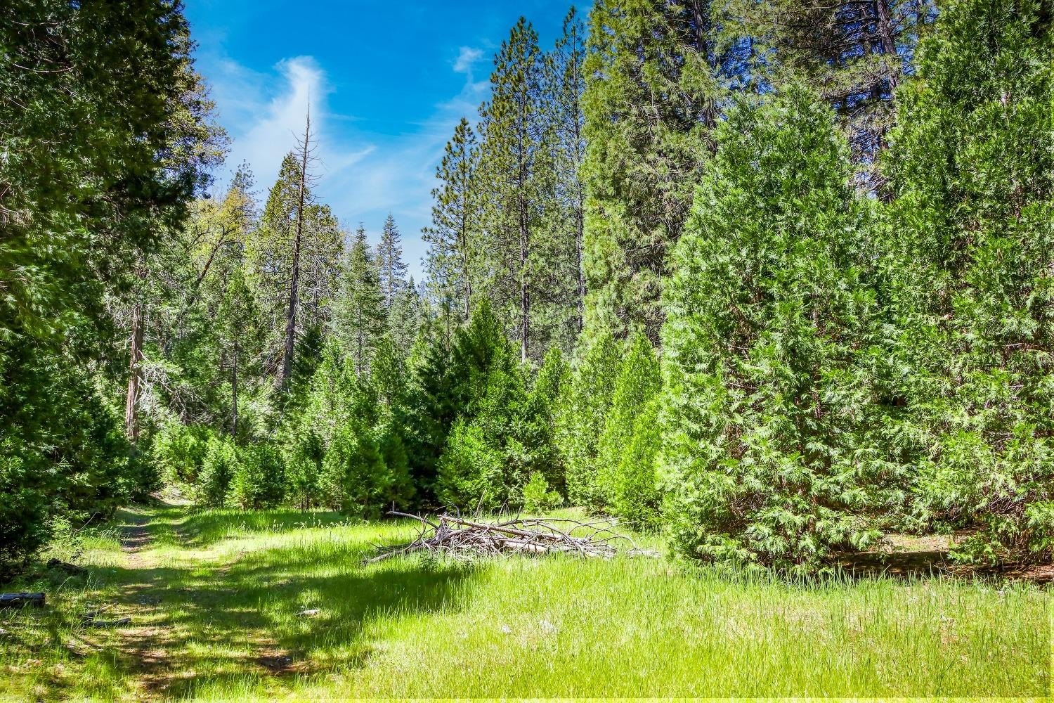 Mountain Ranch, California, 95246, United States, 1 Bedroom Bedrooms, ,1 BathroomBathrooms,Residential,For Sale,1921601