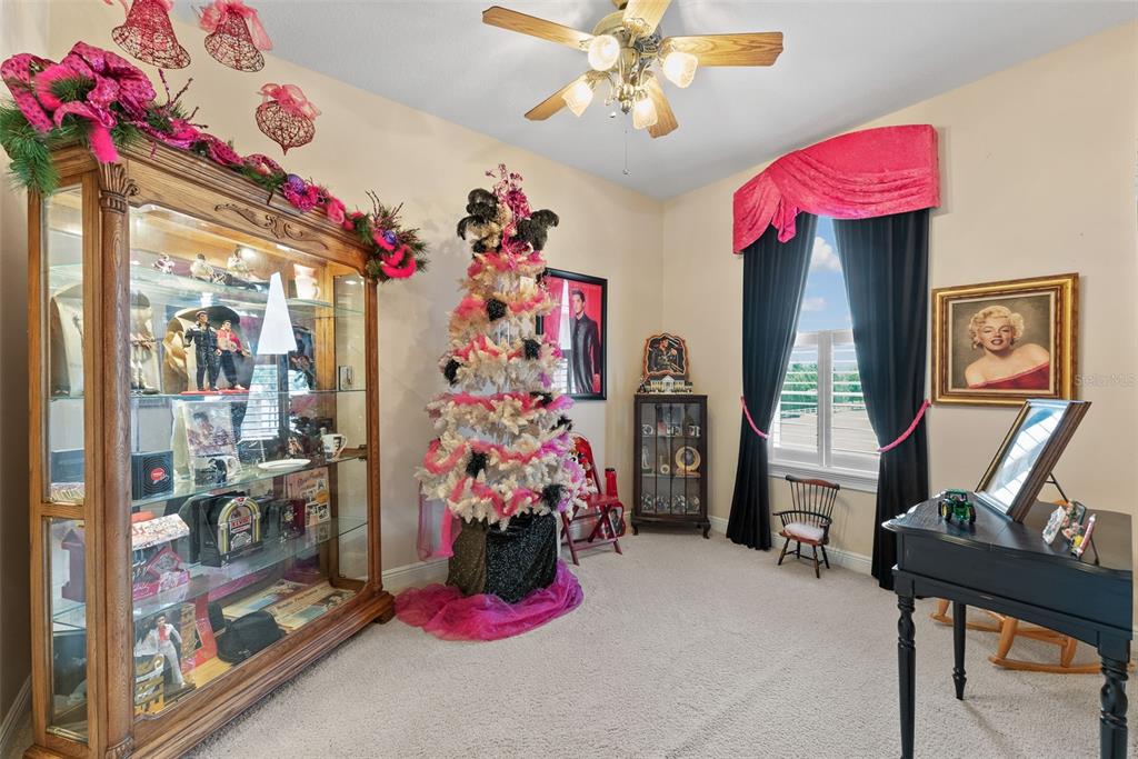 Thonotosassa, Florida, 33592, United States, 4 Bedrooms Bedrooms, ,7 BathroomsBathrooms,Residential,For Sale,1788935
