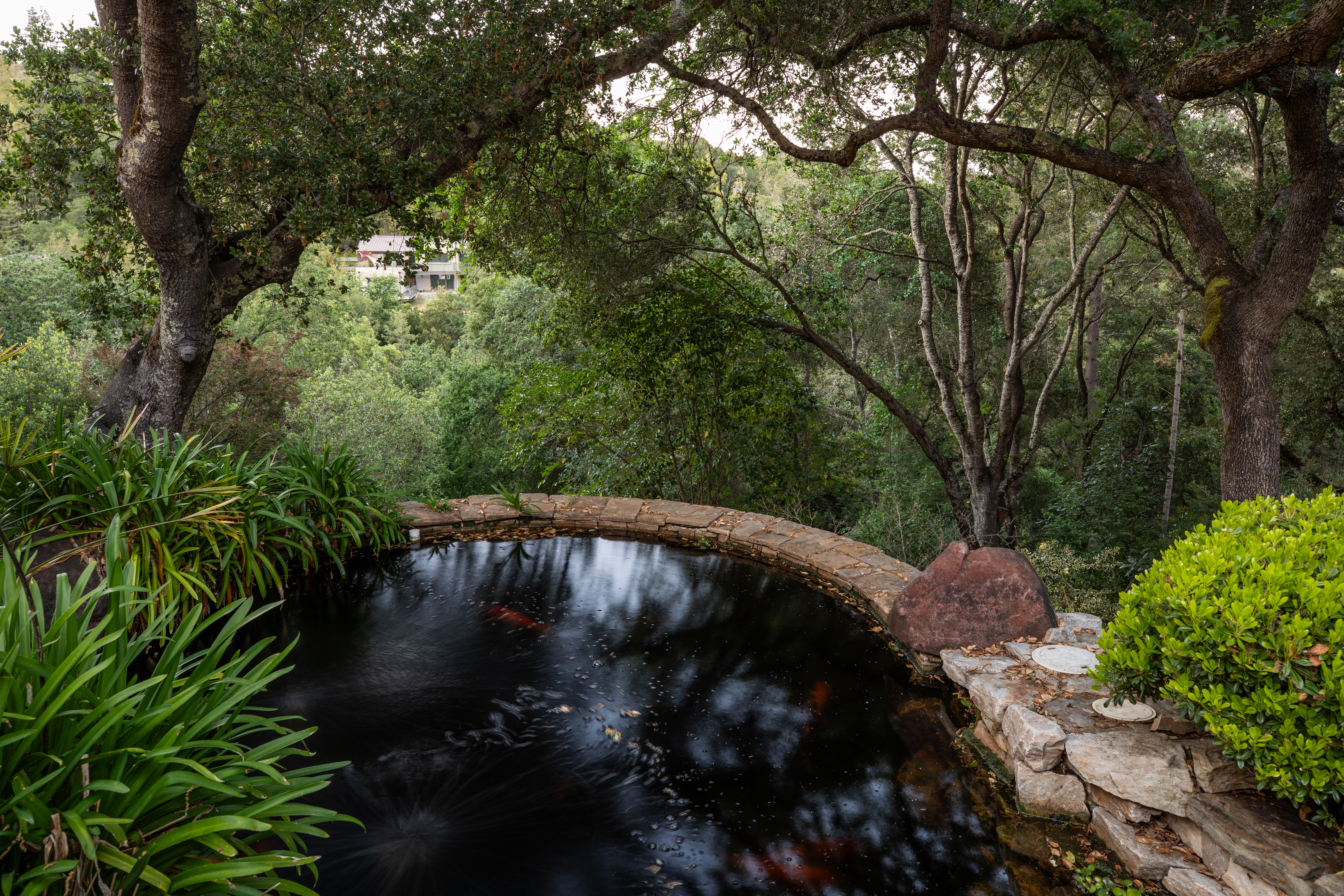  A Hilltop Home Shaped by Light, Landscape and Contemporary Architecture - 物件實景