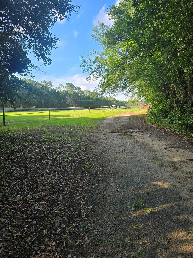 Sumter, South Carolina, 29154, United States, 3 Bedrooms Bedrooms, ,3 BathroomsBathrooms,Residential,For Sale,1974598