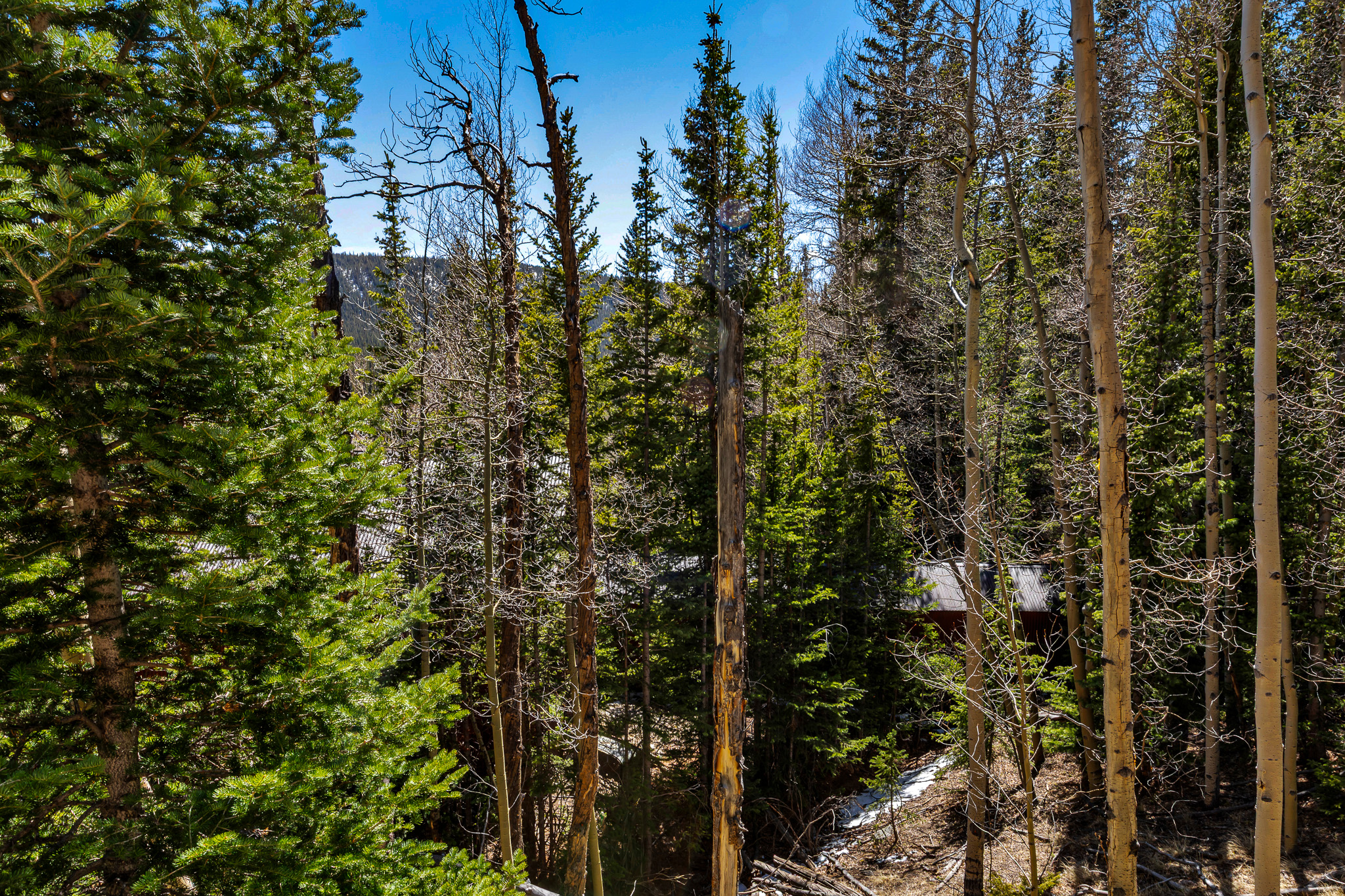  270 Co Rd 667, Alma, CO, 80440 - 物件實景