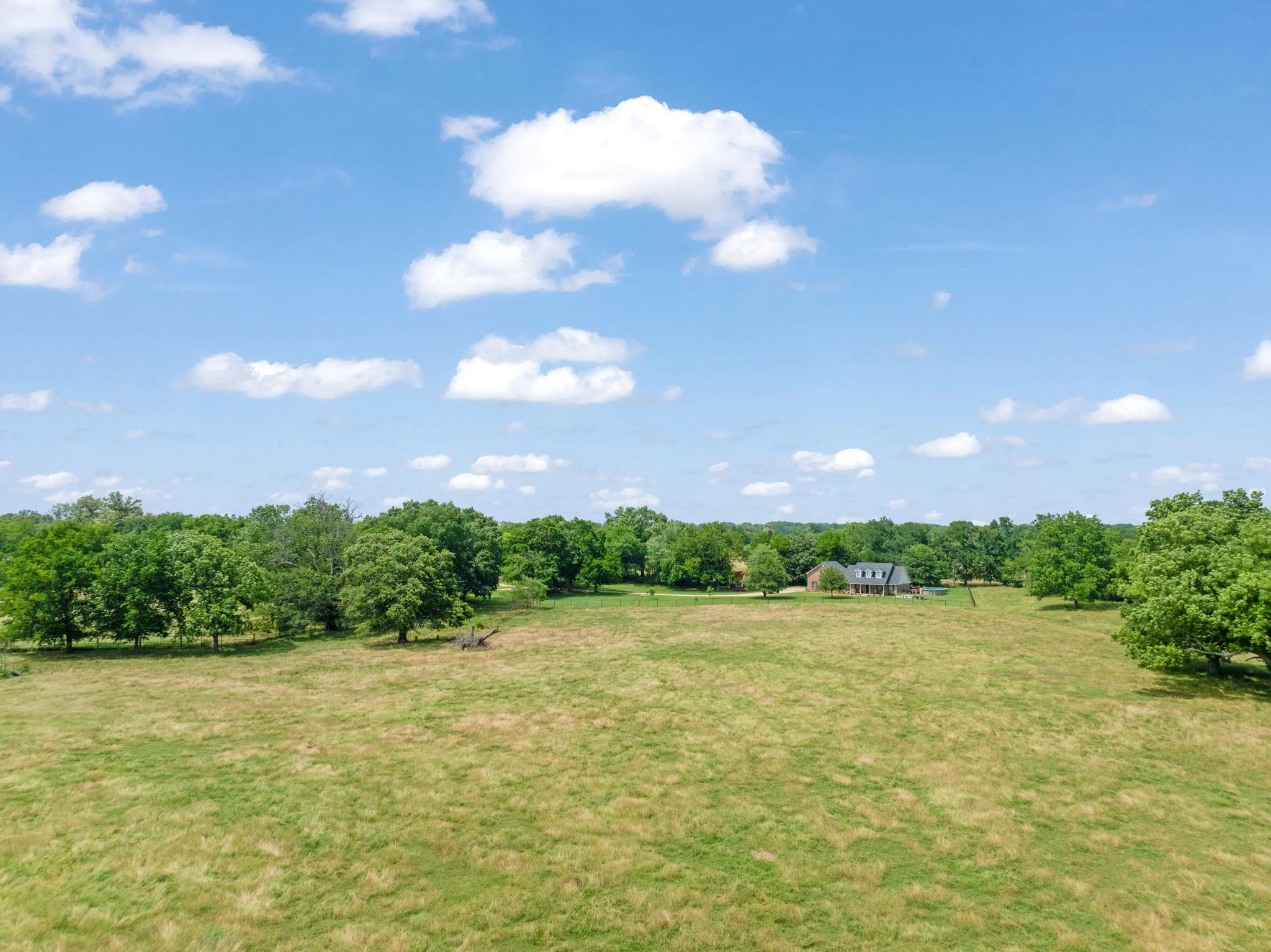 Pattonville, Texas, 75468, United States, ,Land,For Sale,1990194