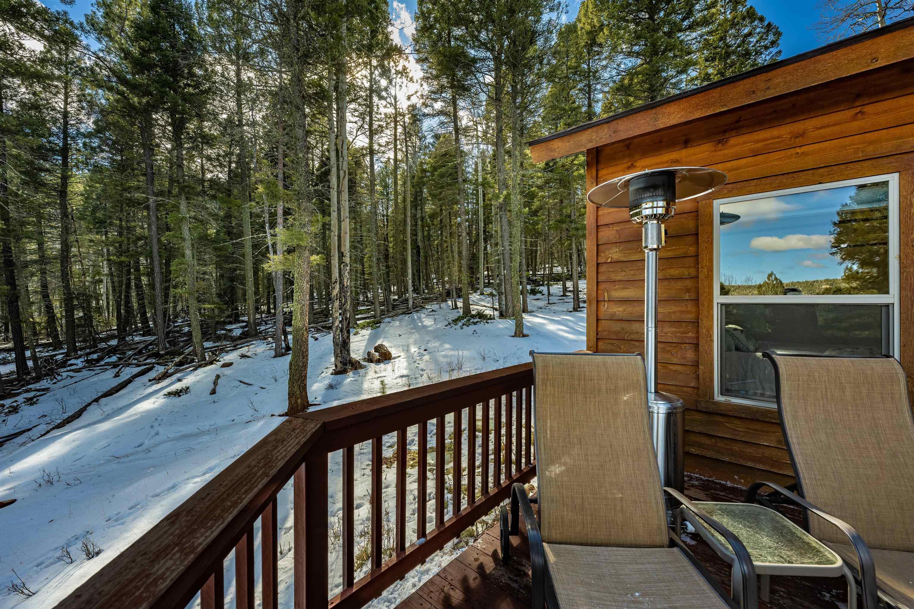 Angel Fire, New Mexico, 87710, United States, 3 Bedrooms Bedrooms, ,2 BathroomsBathrooms,Residential,For Sale,1917002