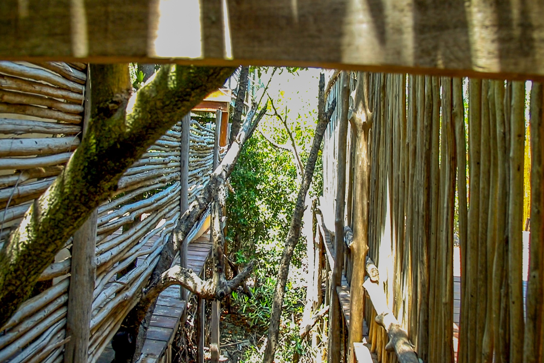  The Twin Canopy Estate  Private Sanctuary in Holbox - 物件實景