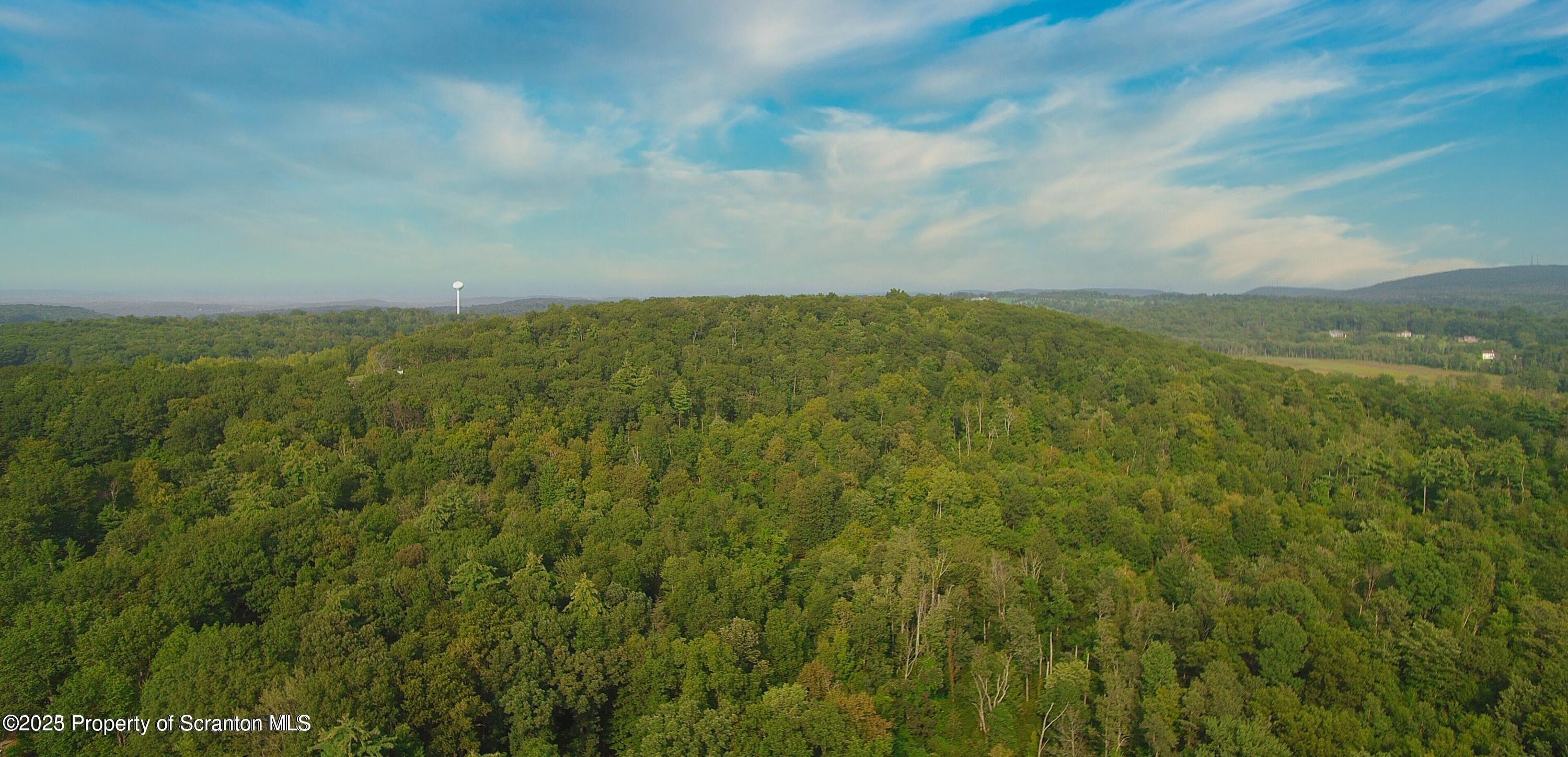 Newton Twp, Pennsylvania, 18411, United States, ,Land,For Sale,1980974
