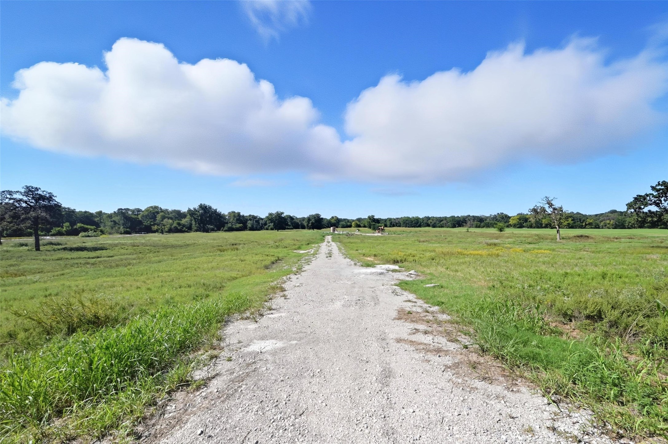 Decatur, Texas, 76234, United States, ,Land,For Sale,1958740